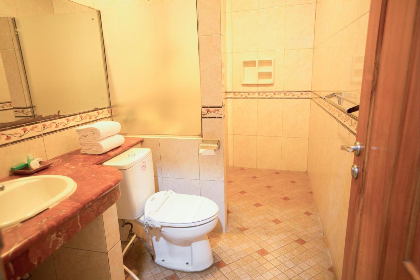 Superior Double or Twin Room photo 3