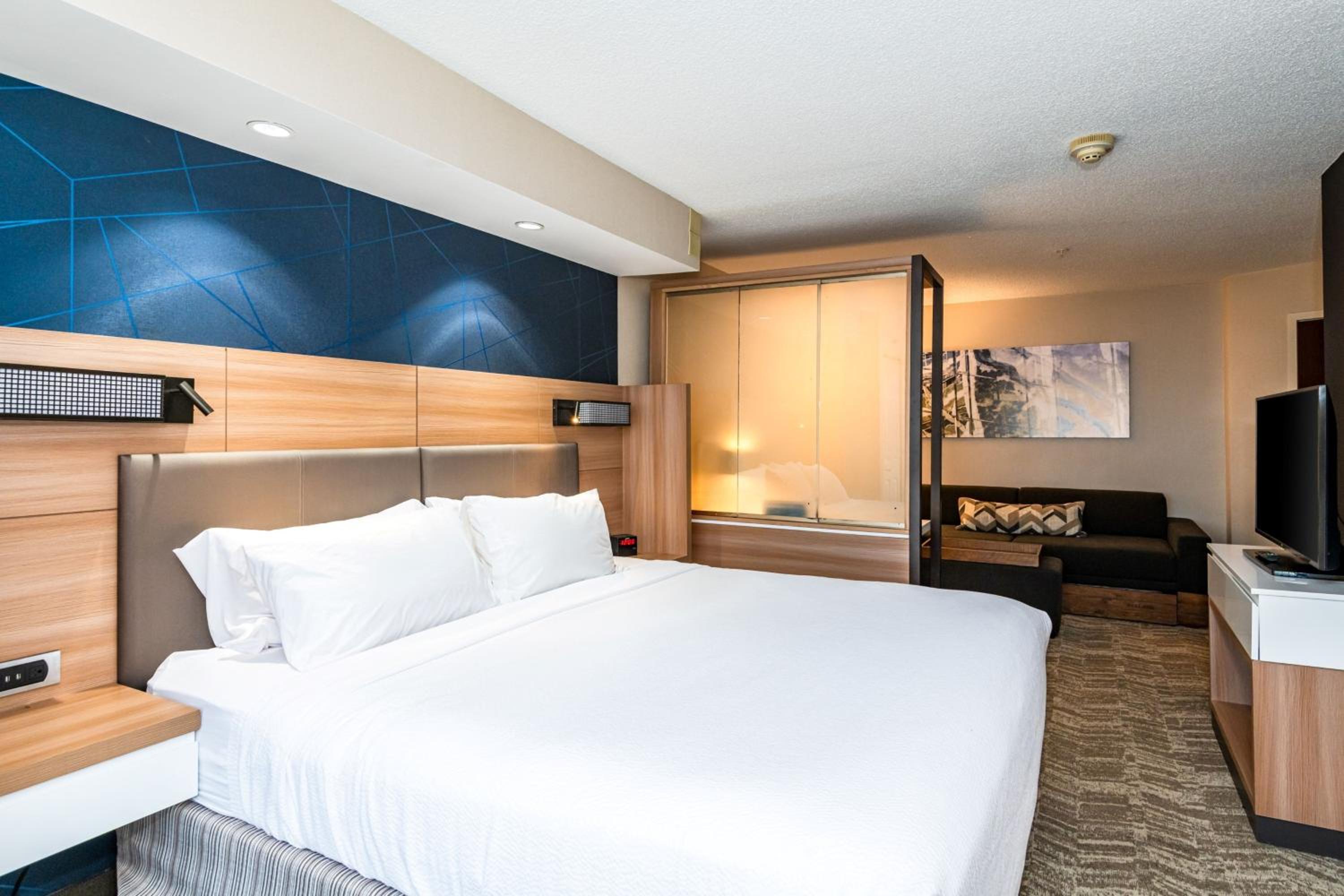 King Suite with Sofa Bed - Photo 4