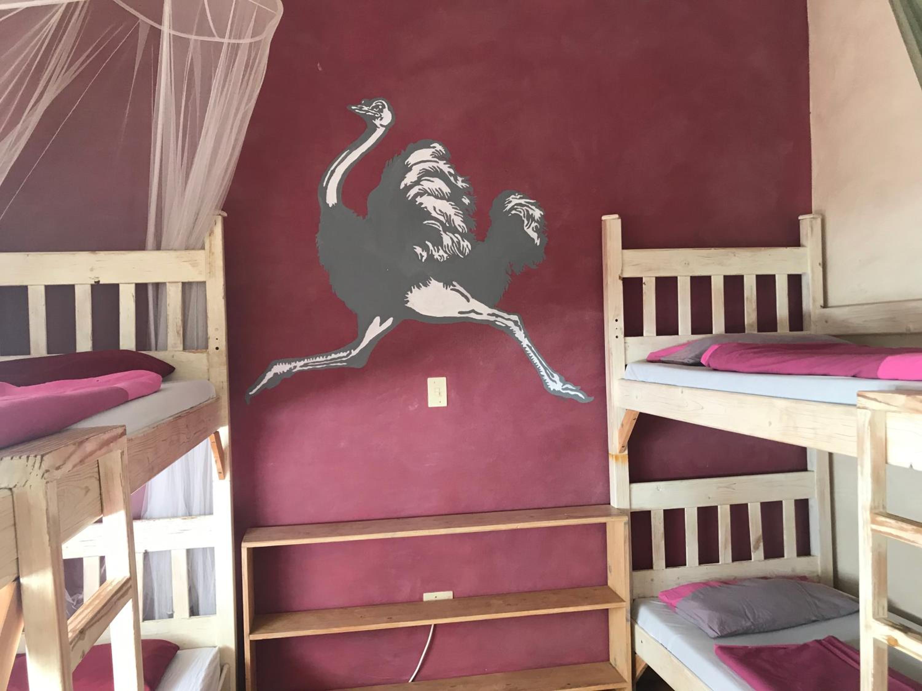 4-Bed Female Dormitory Room photo 1