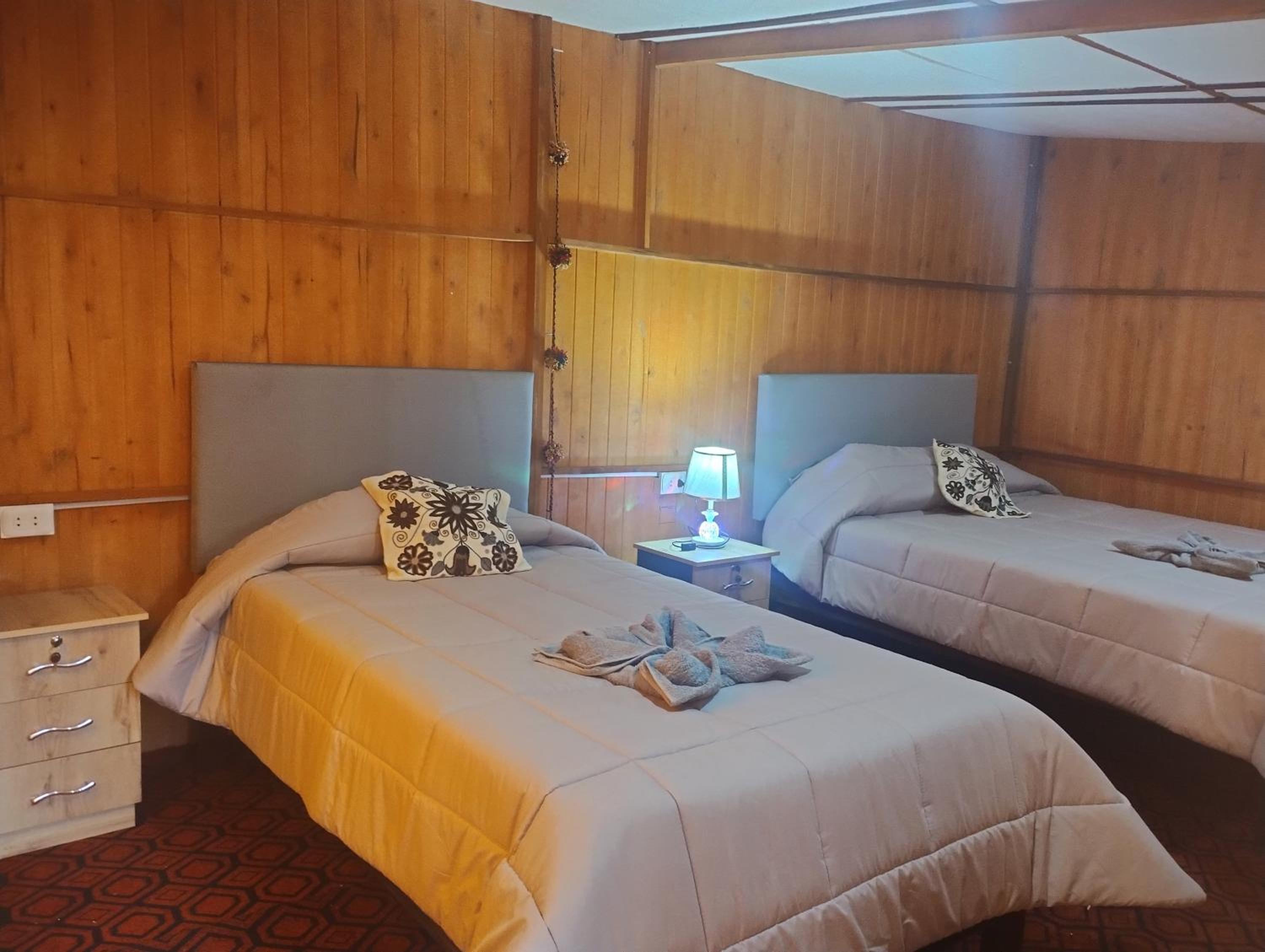 Twin Room photo 2