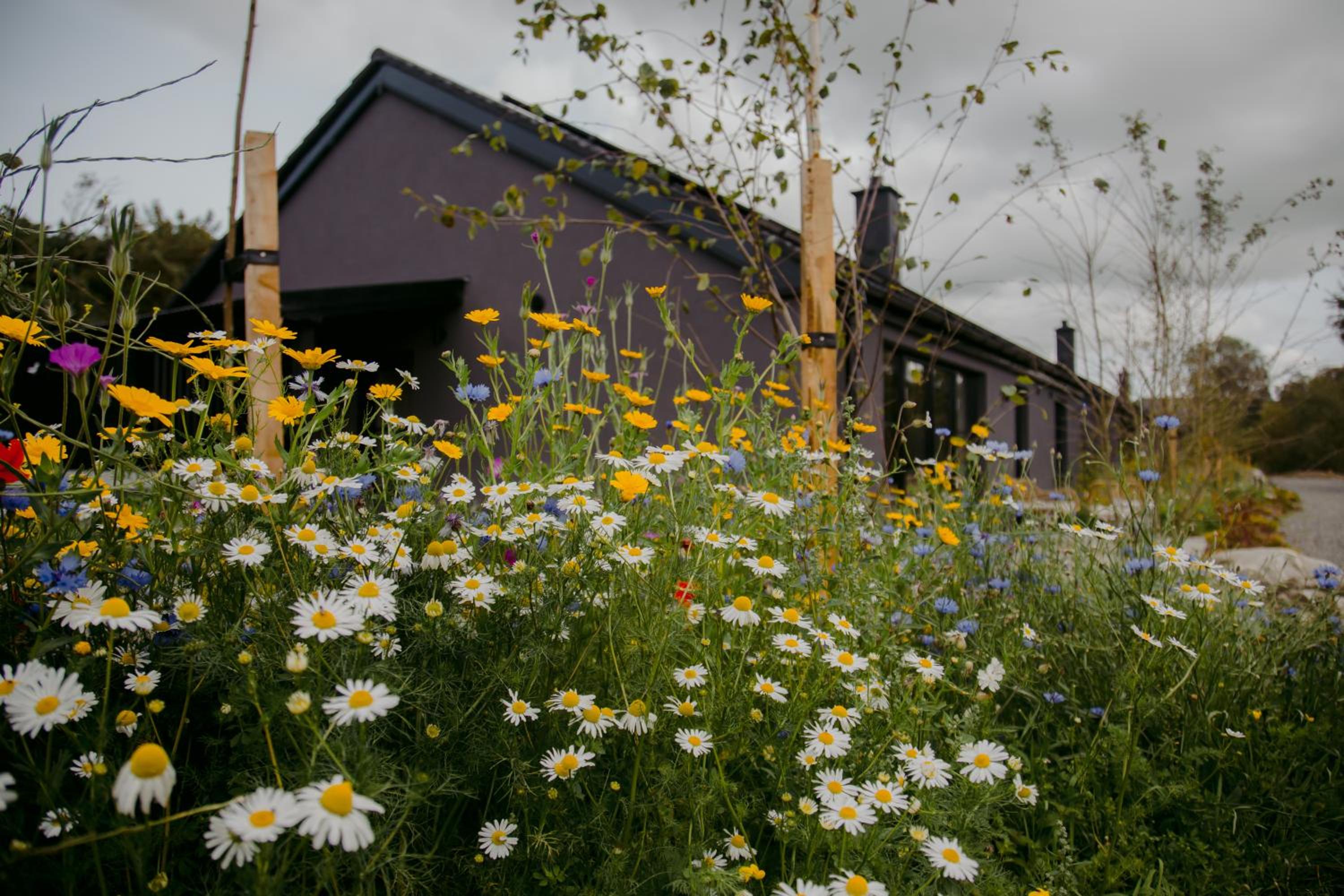  ASH COTTAGE photo 2
