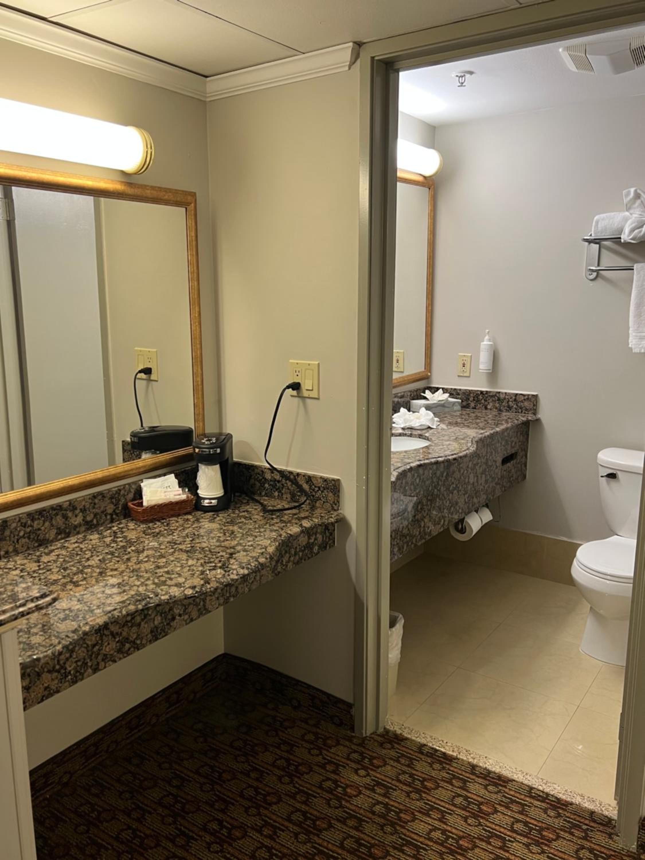 Deluxe King Room - Photo 8