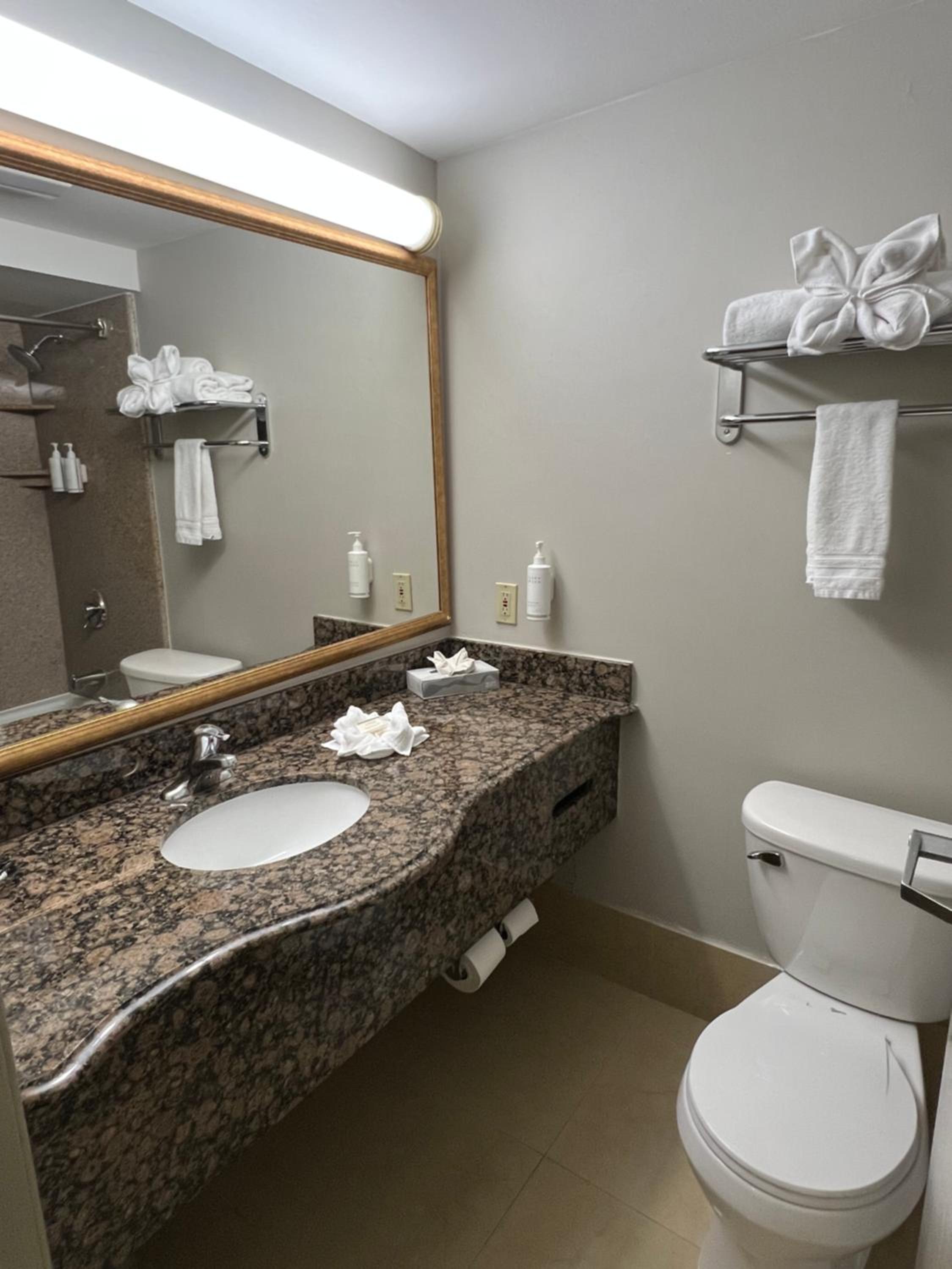 Deluxe King Room - Photo 7
