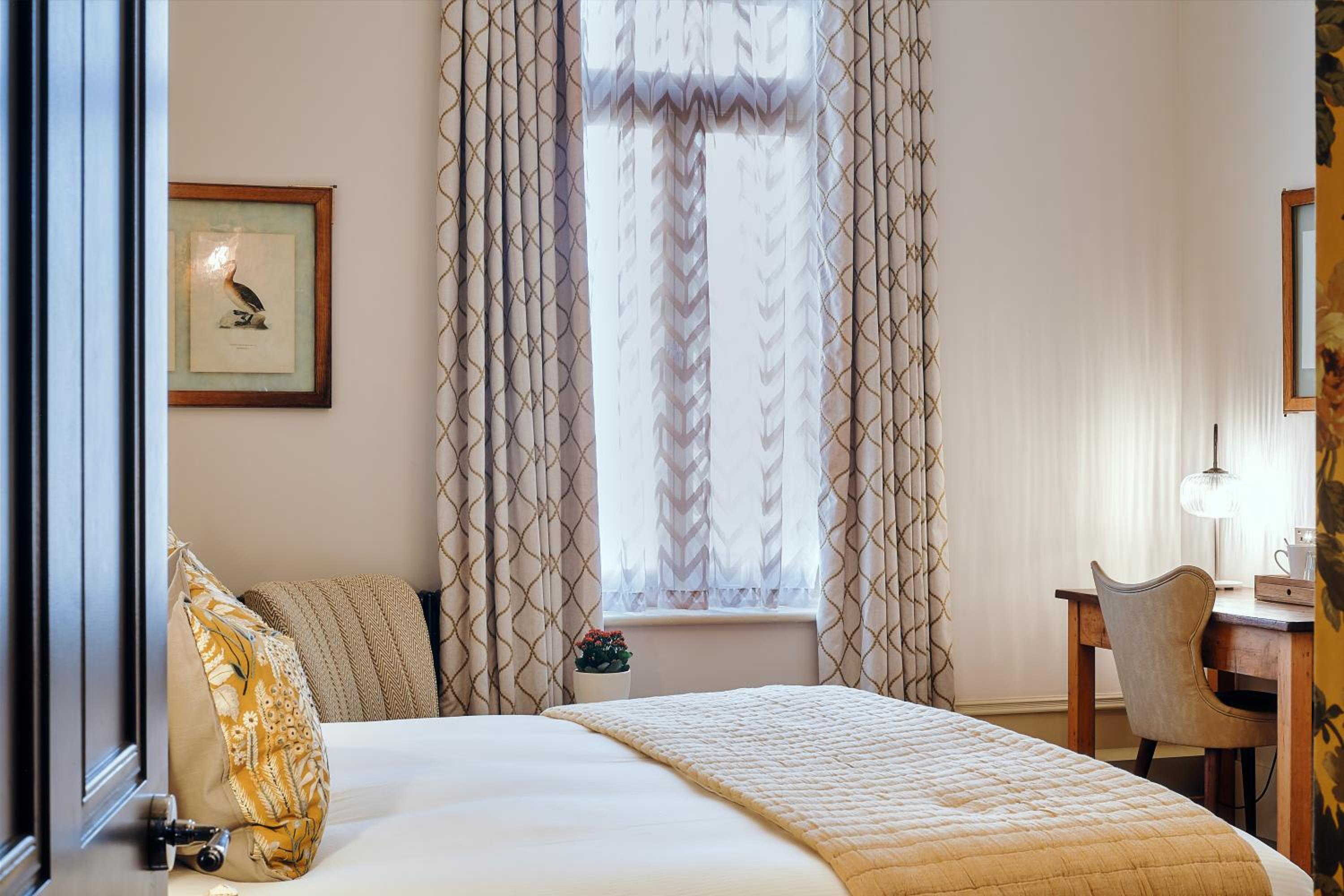 King Room photo 2