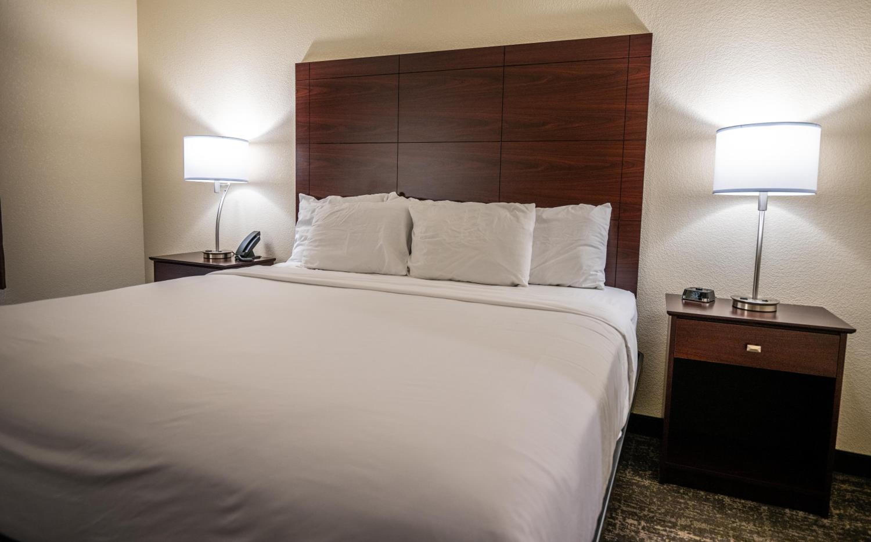 One-Bedroom Suite - Photo 9