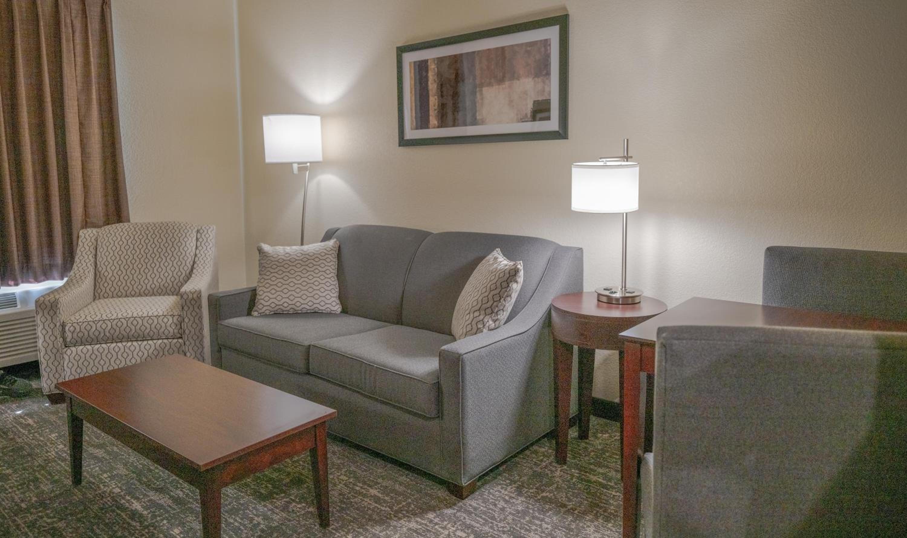 One-Bedroom Suite - Photo 13