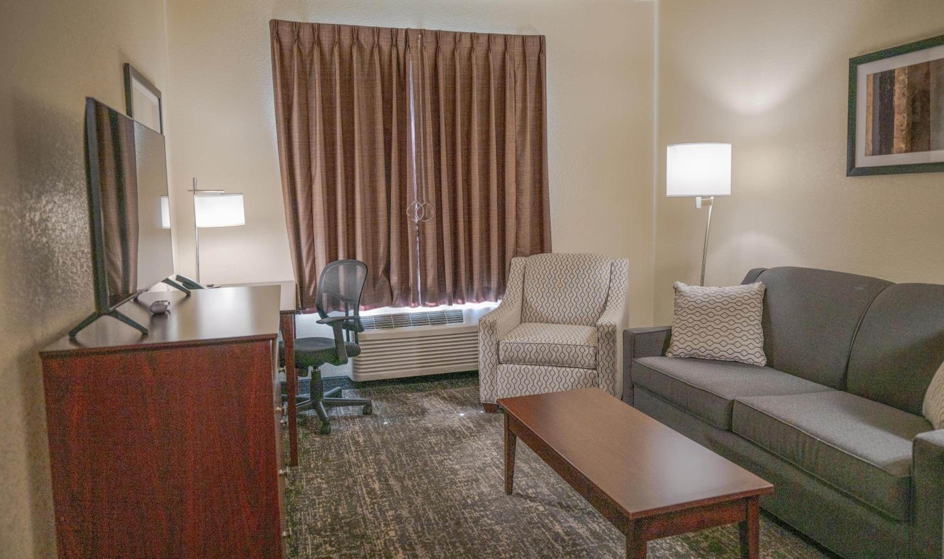 One-Bedroom Suite - Photo 11