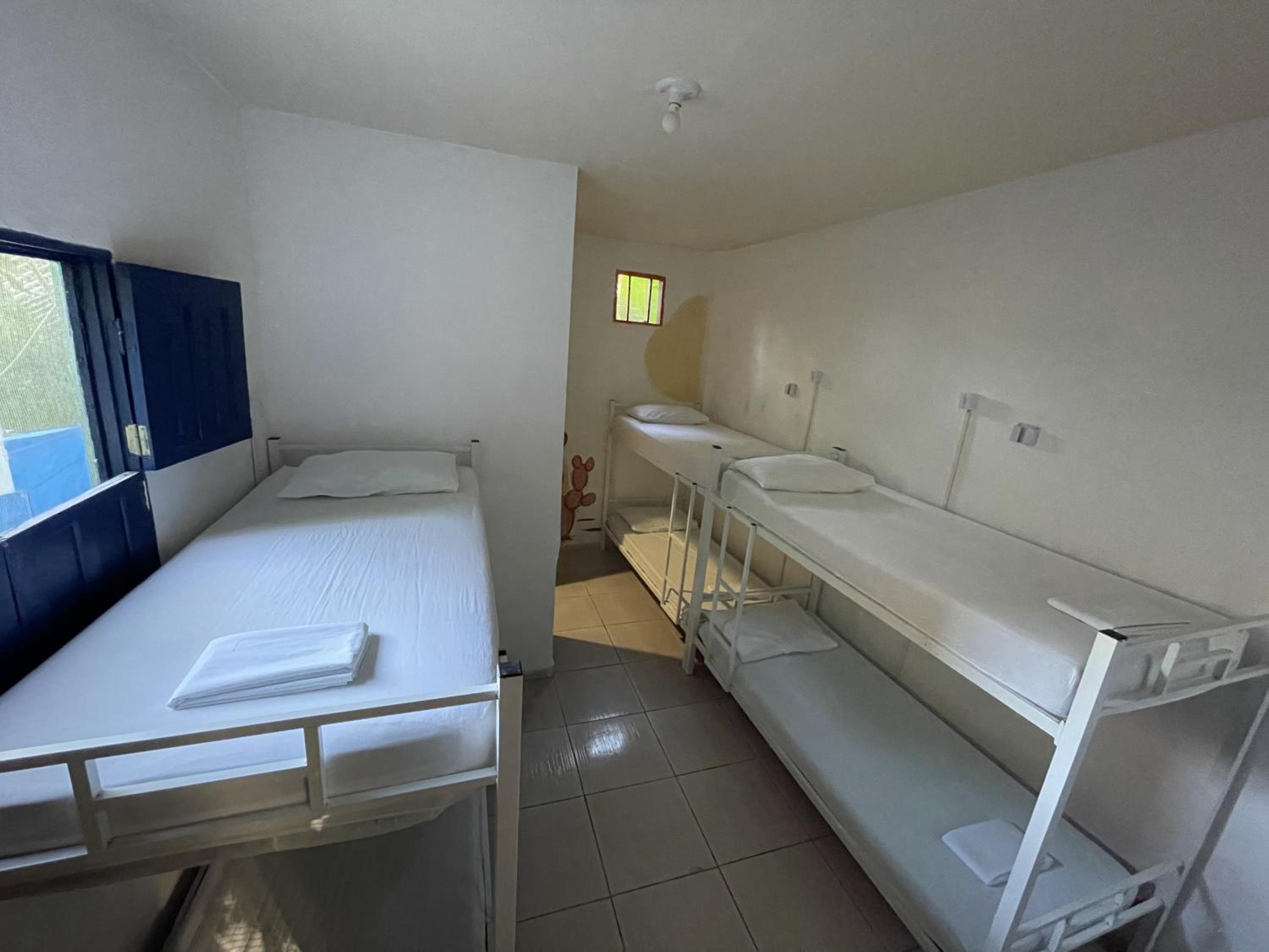 Bunk Bed in Mixed Dormitory Room photo 2