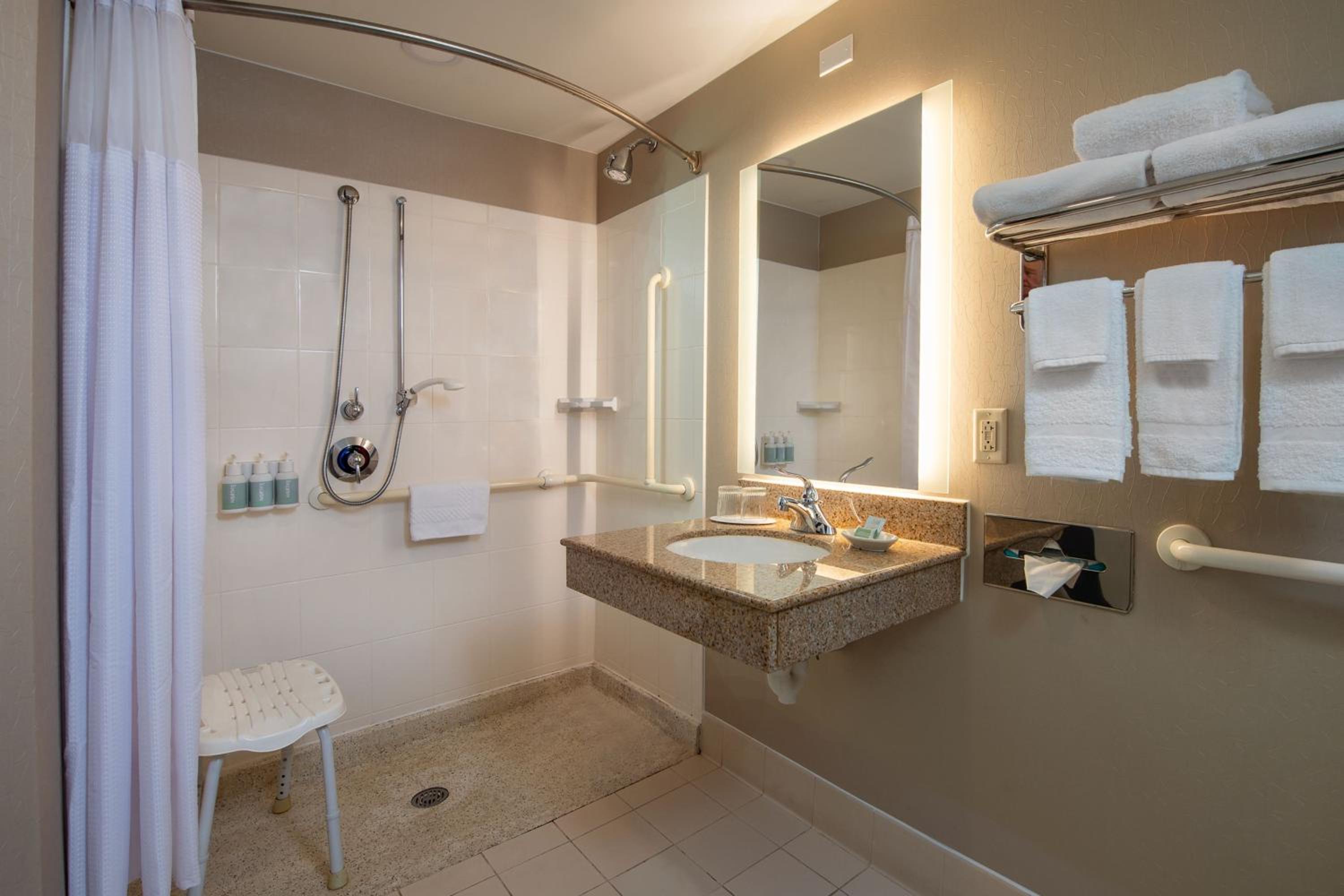 King Suite - Photo 4