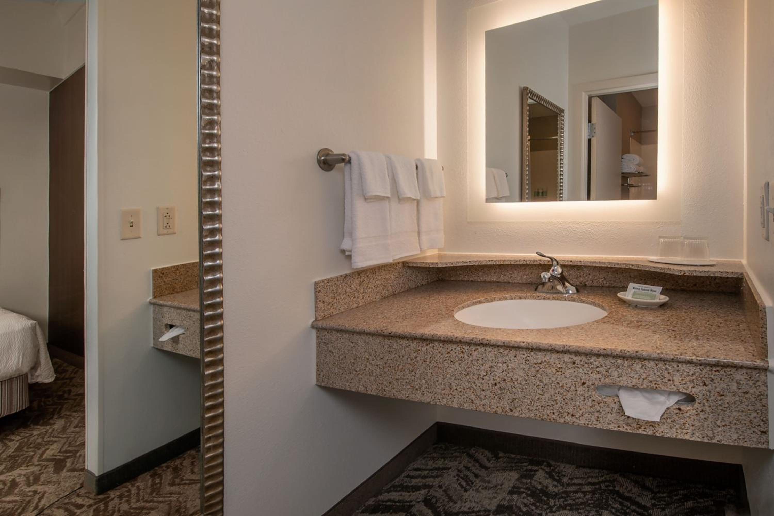 King Suite - Photo 5