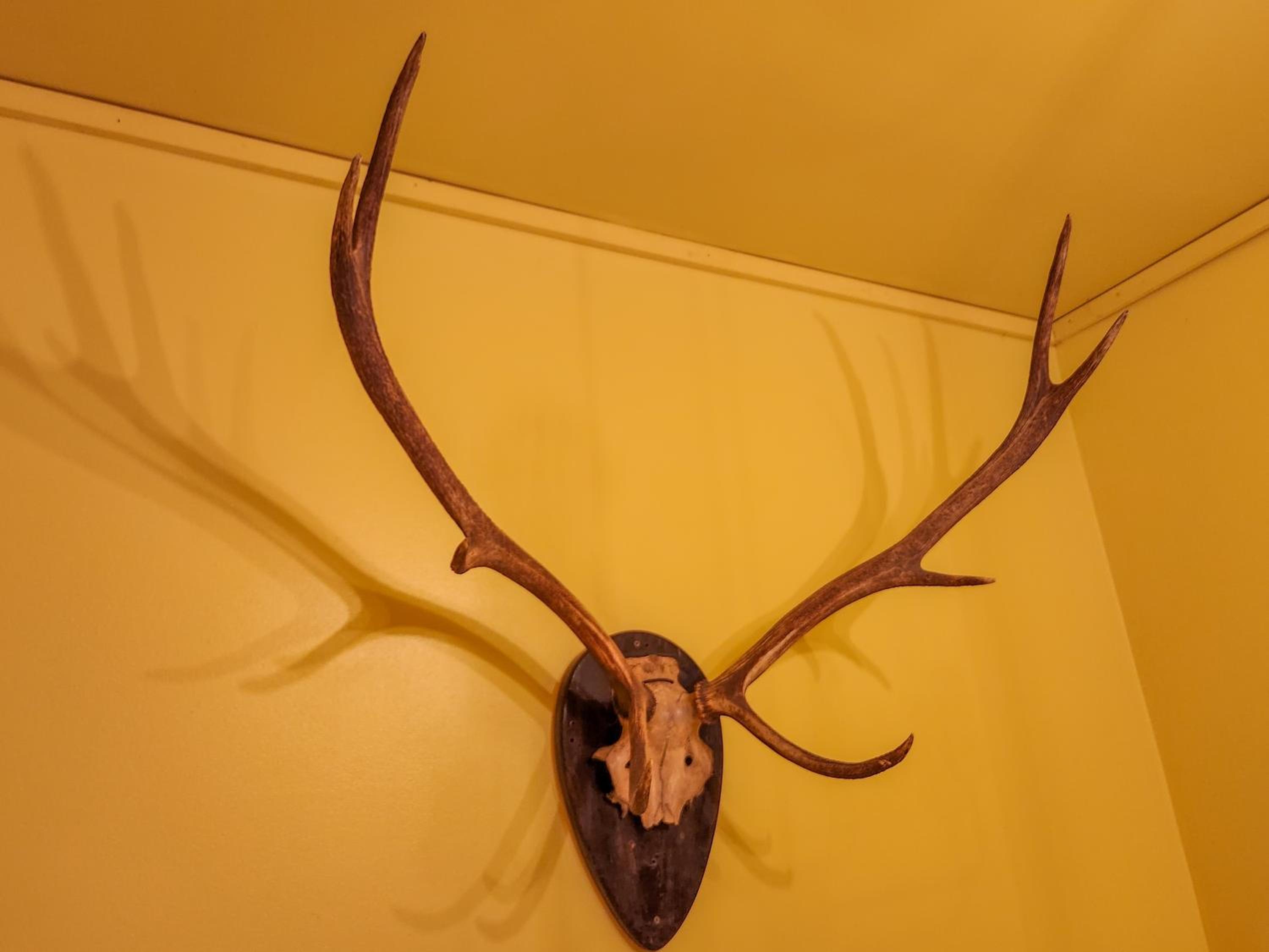 Standard Double or Twin Room photo 2
