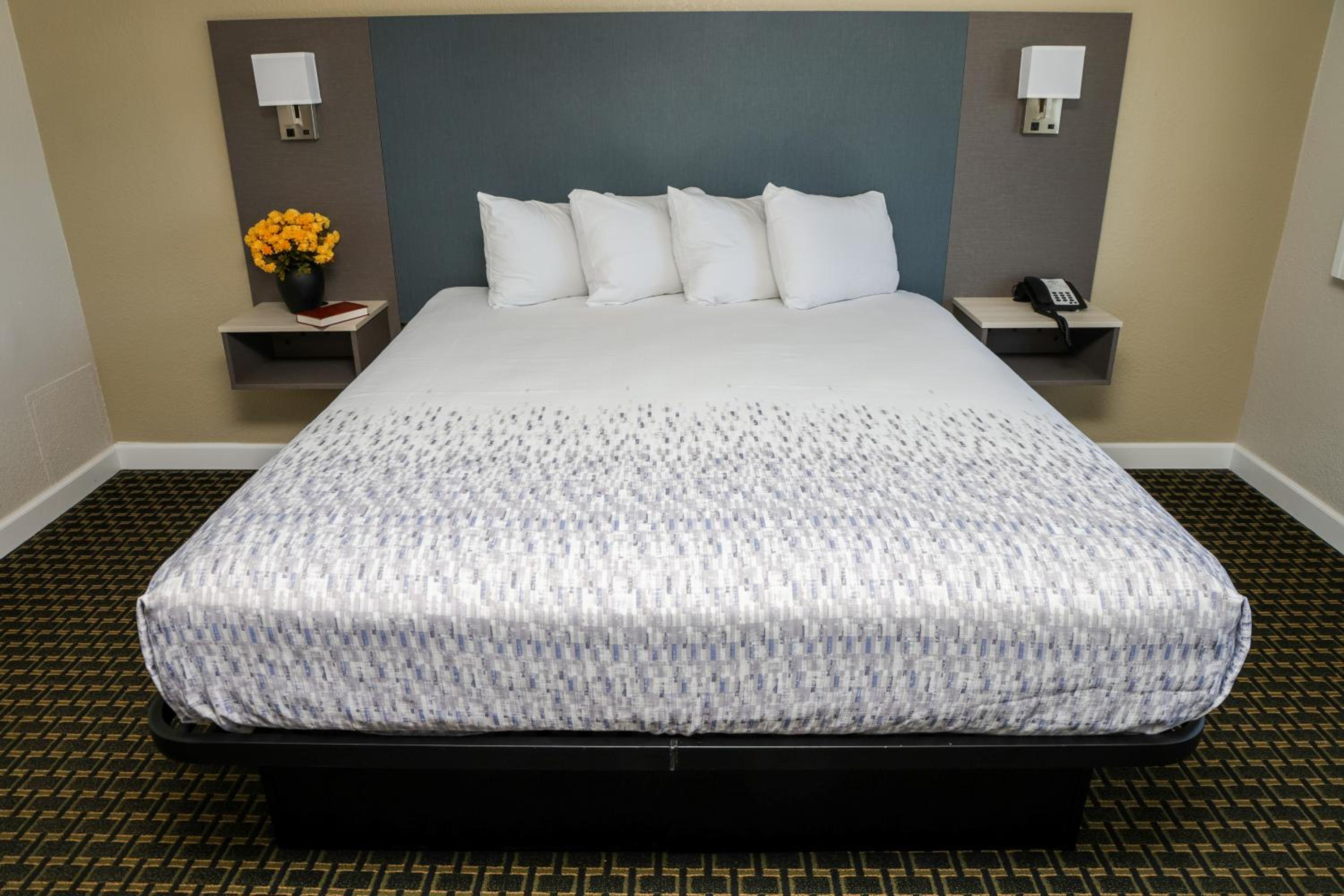 Queen Room - Disability Access - Photo 1