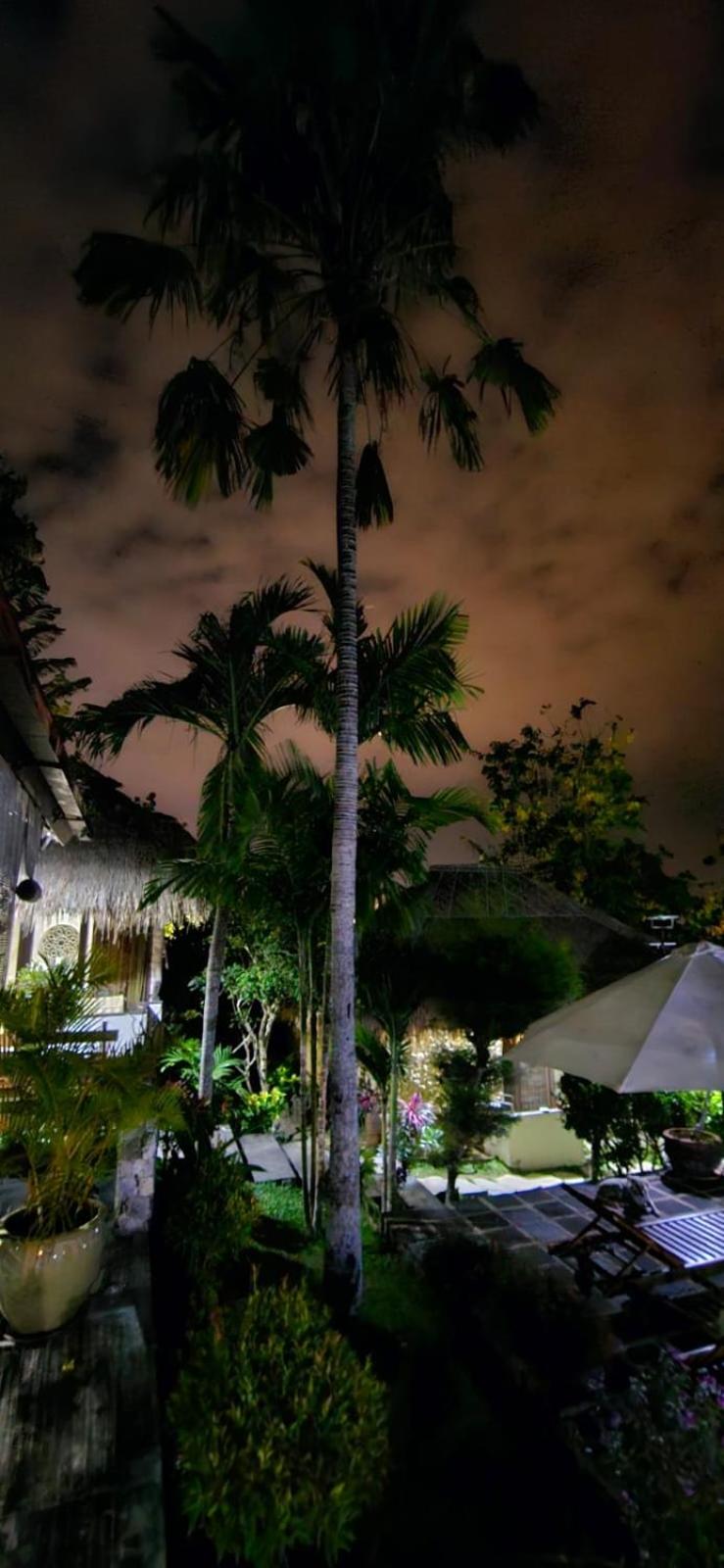 Villa photo 3