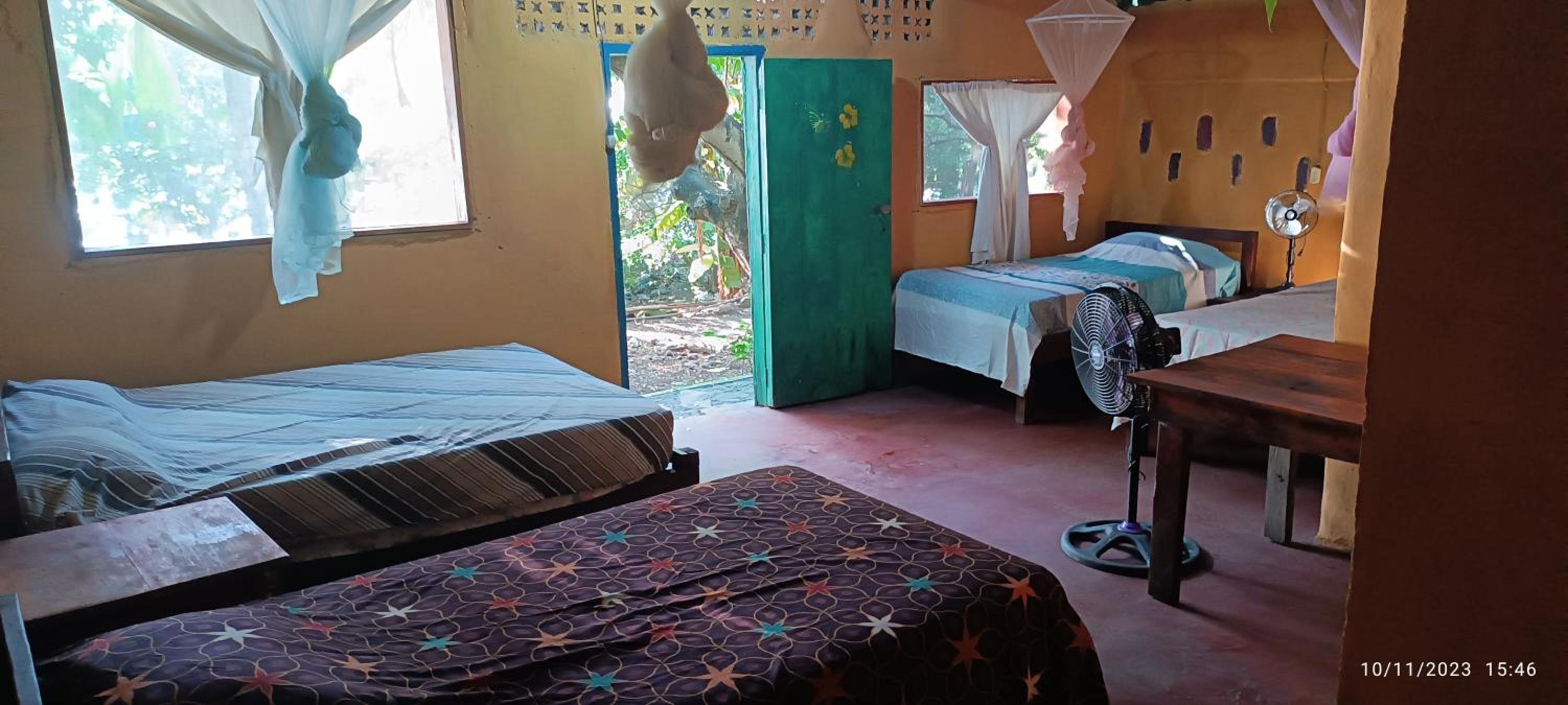 4-Bed Mixed Dormitory Room photo 3