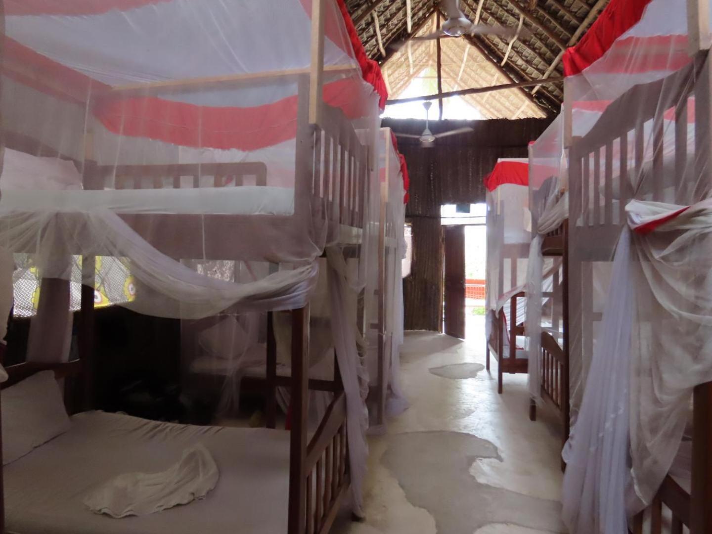 Single Bed in Mixed Dormitory Room photo 2