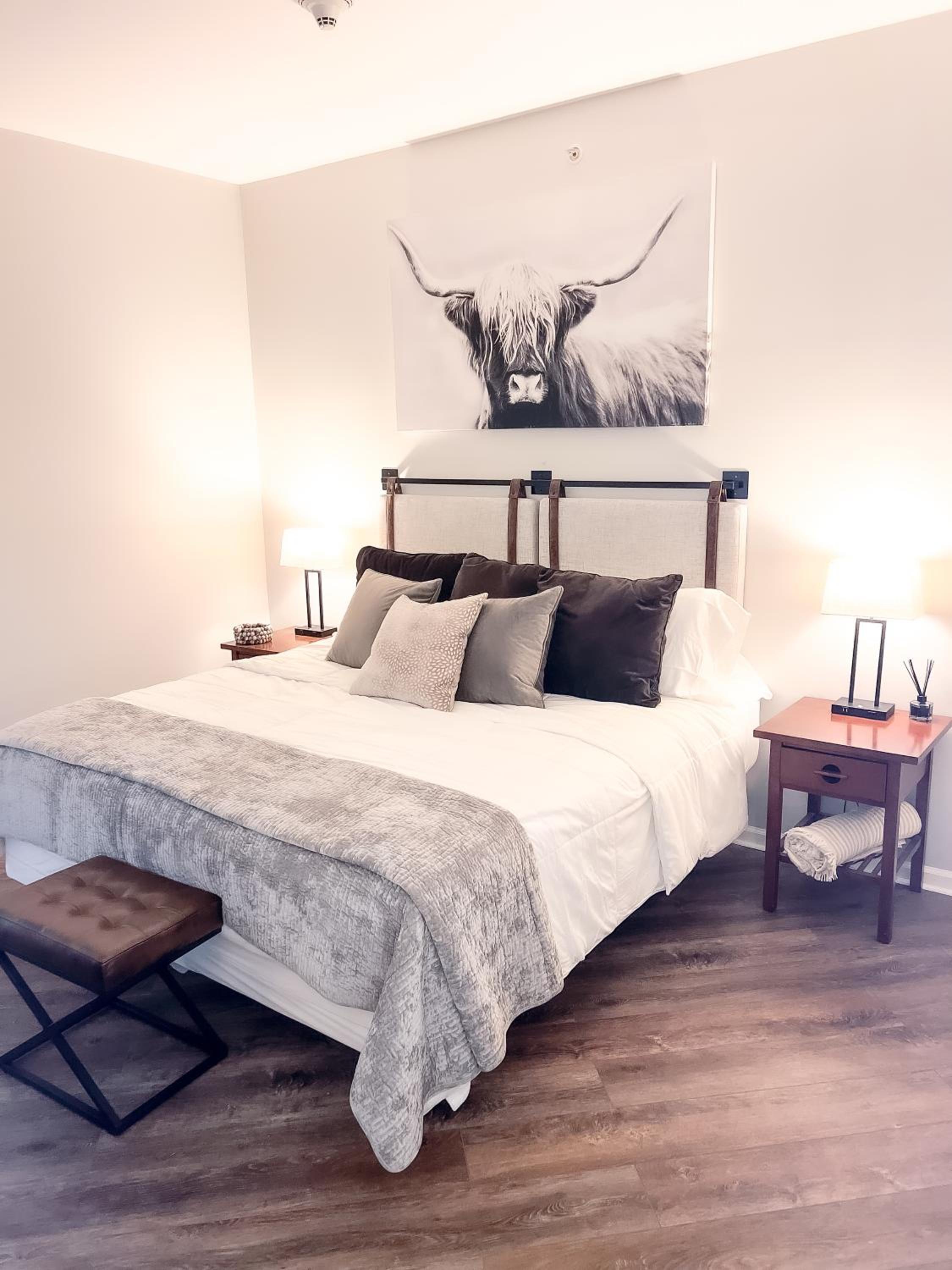 Suite photo 1