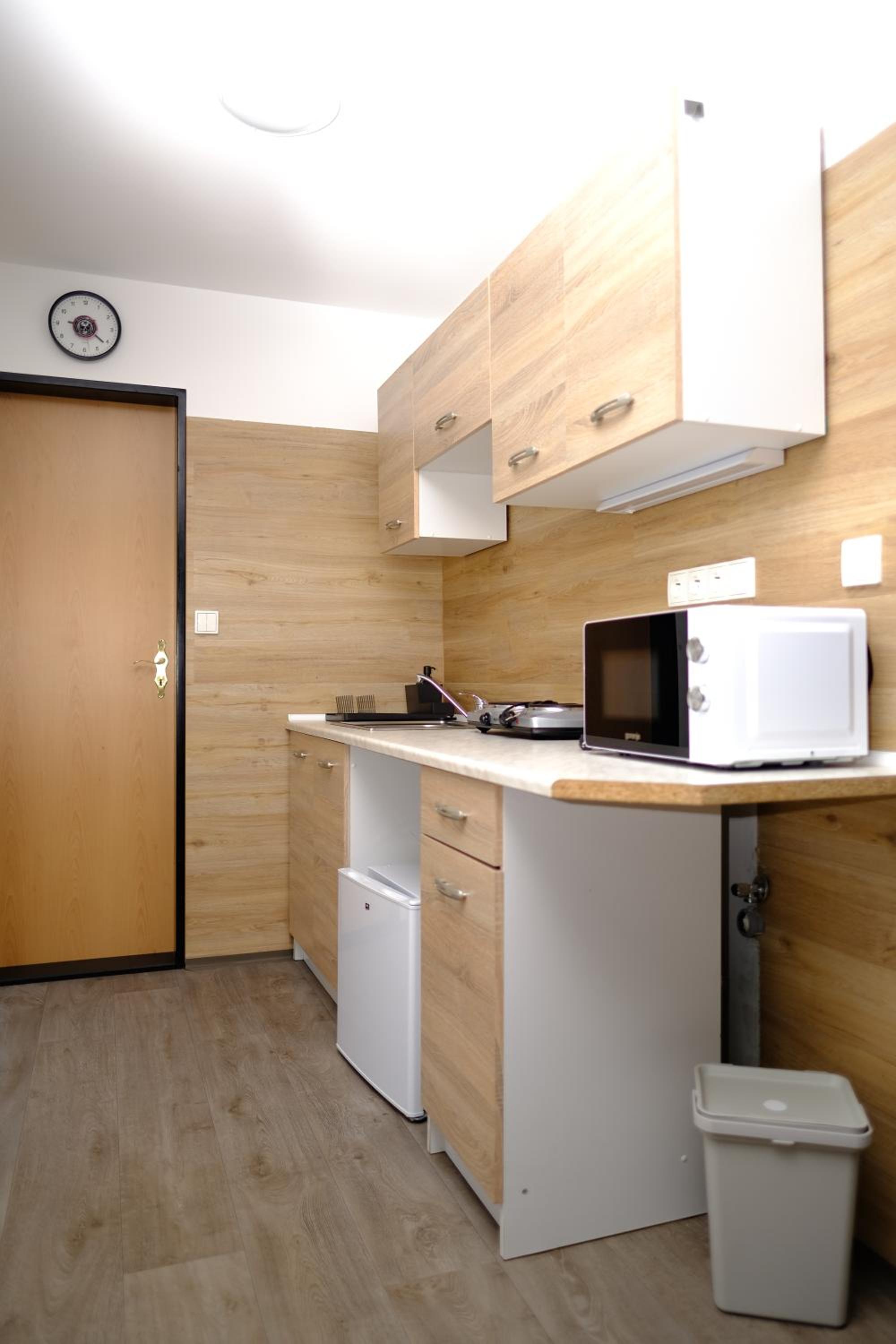 One-Bedroom Apartment photo 3