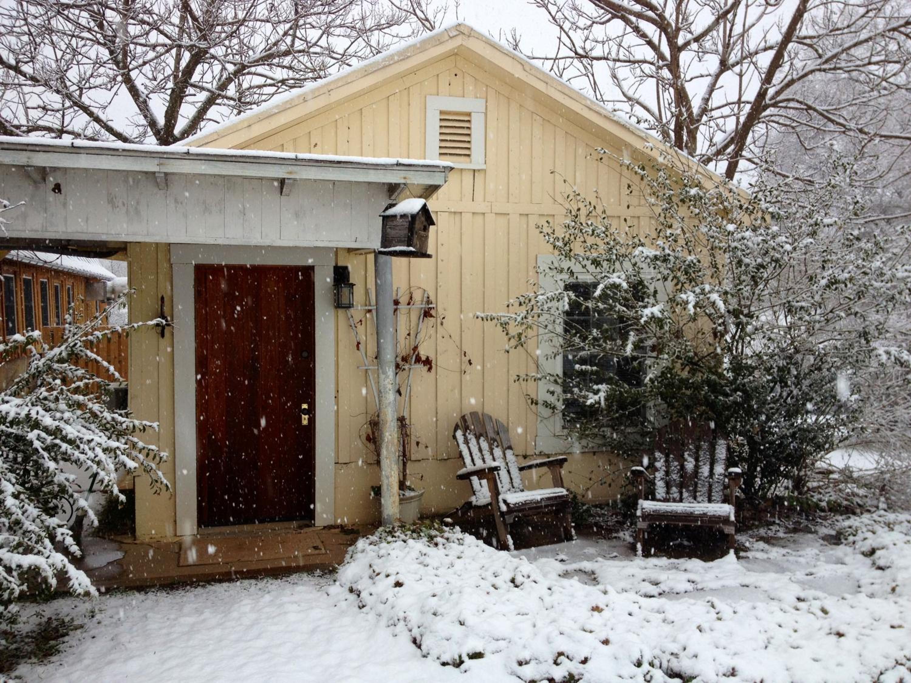 One-Bedroom Cottage photo 3