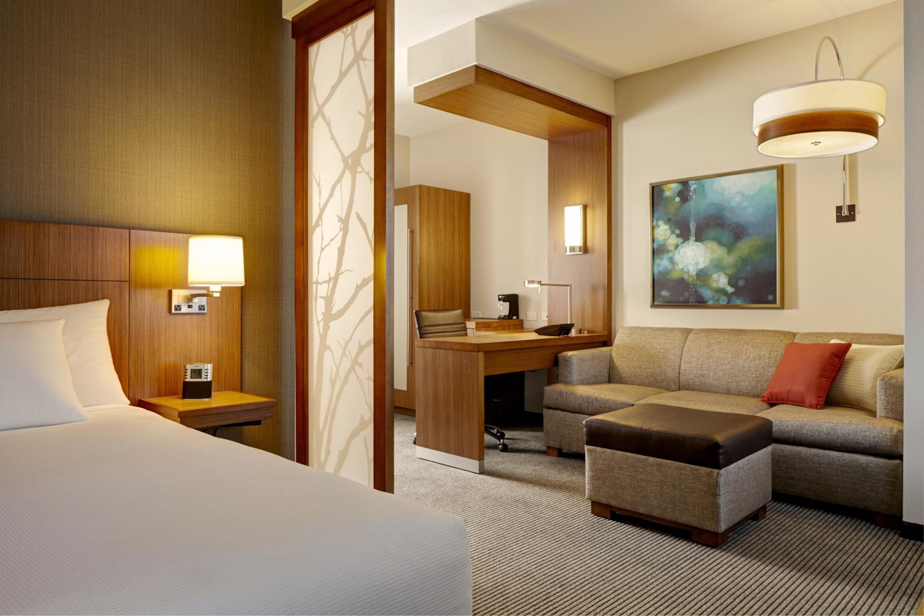 Specialty King Room with Sofa Bed - Photo 2