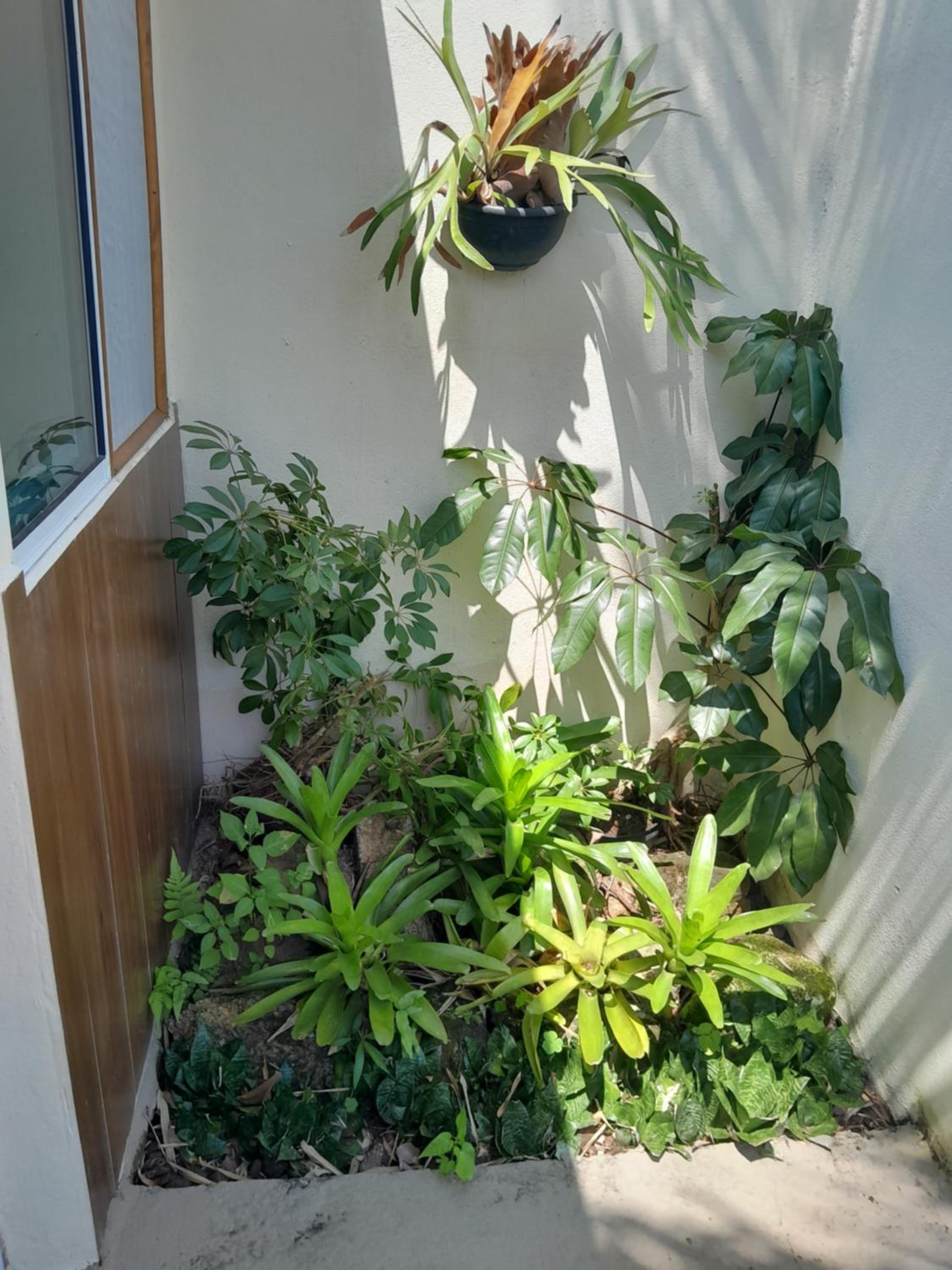 Apartment - Ground Floor - Photo 30