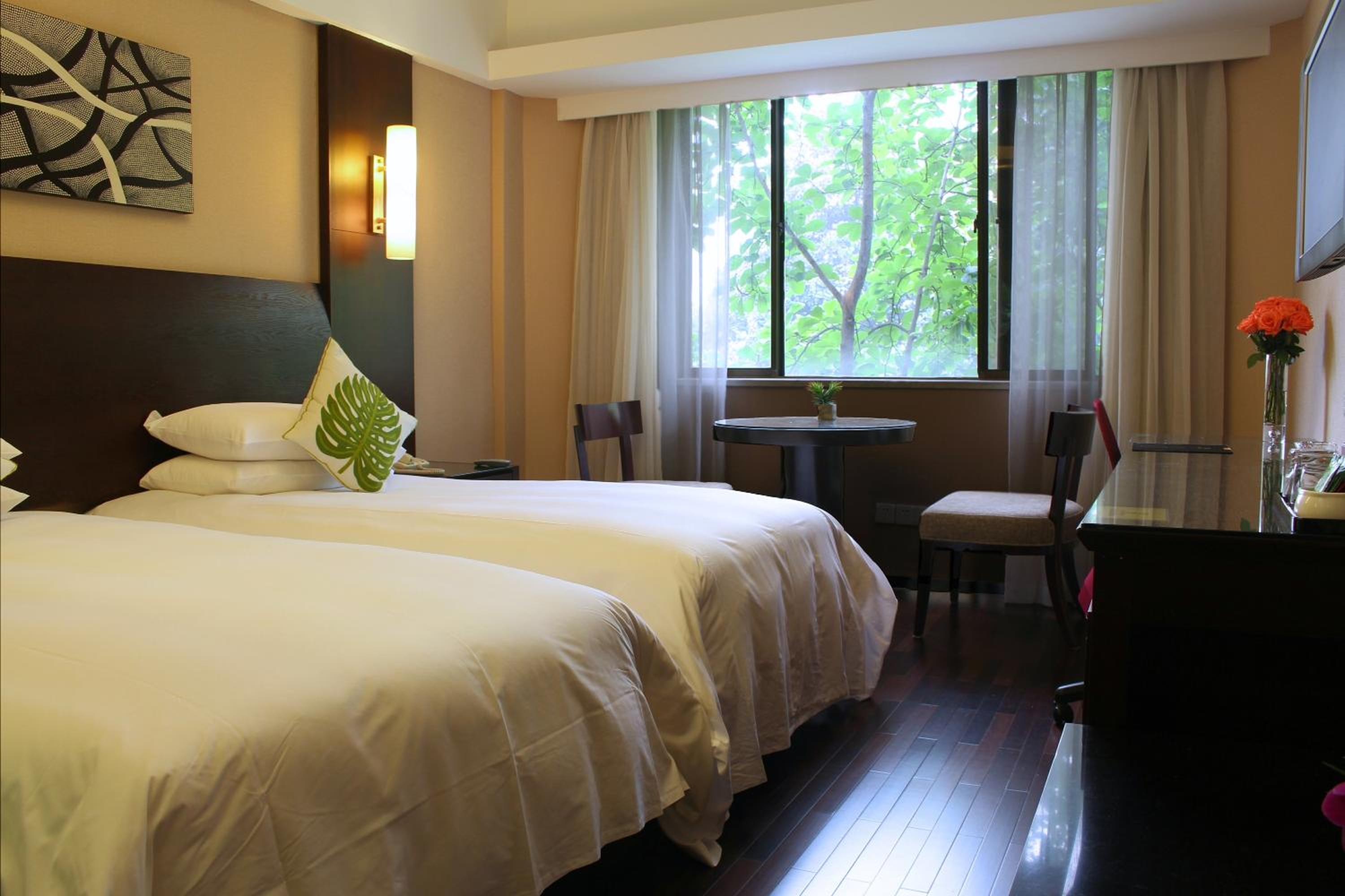 Deluxe Twin Room photo 1
