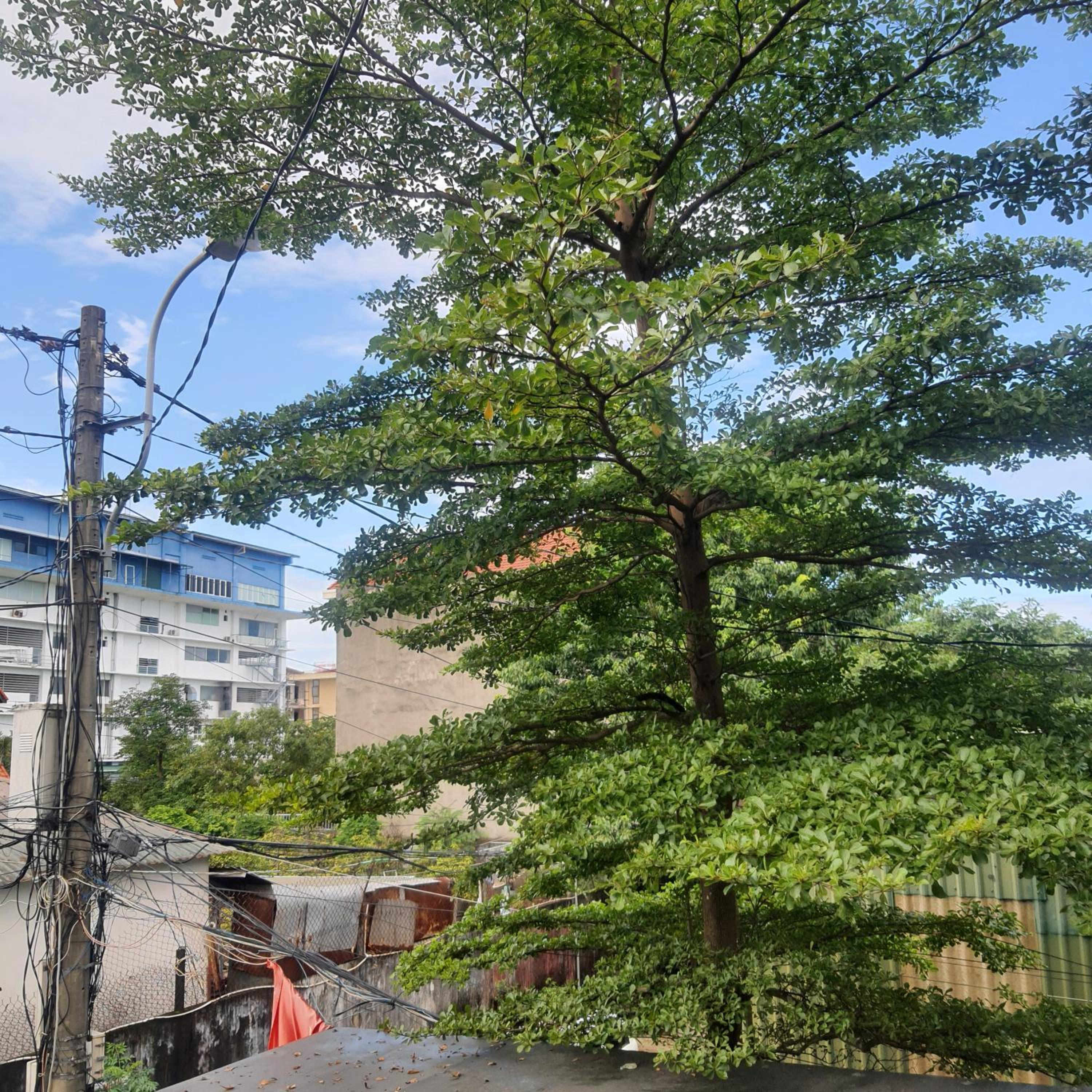 Three-Bedroom Apartment with Balcony photo 3