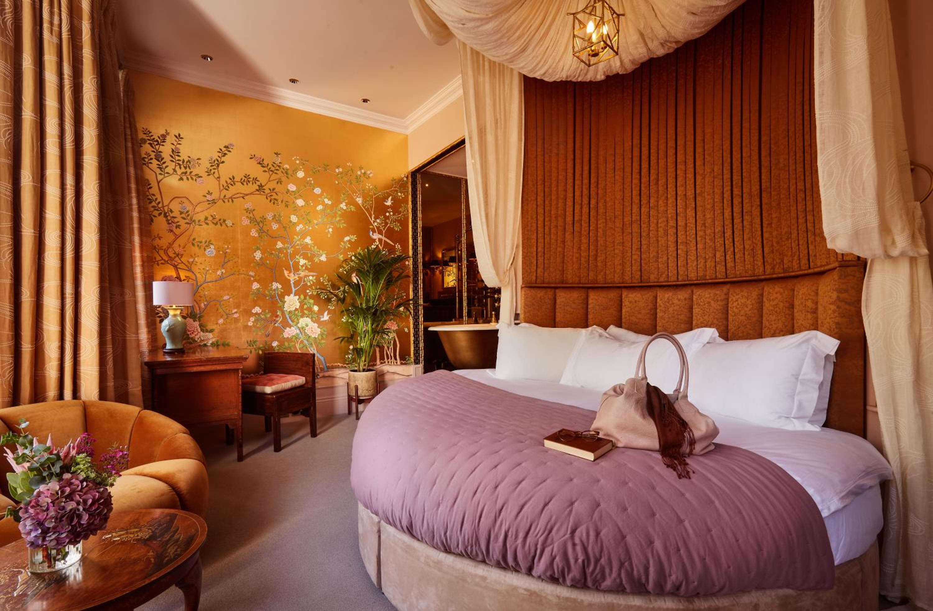 Best Room photo 1