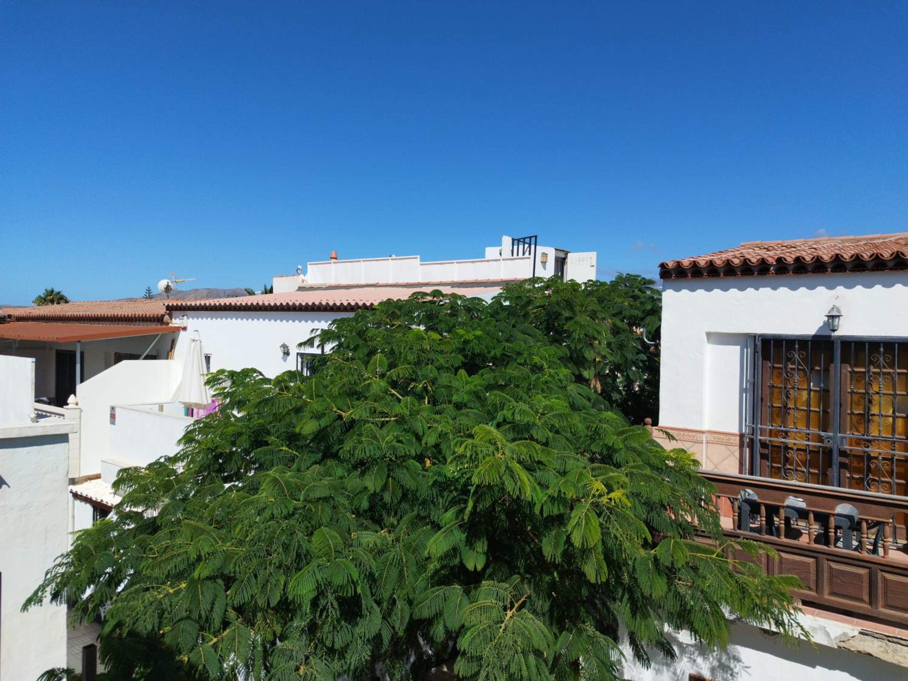 Apartment - Split Level photo 2