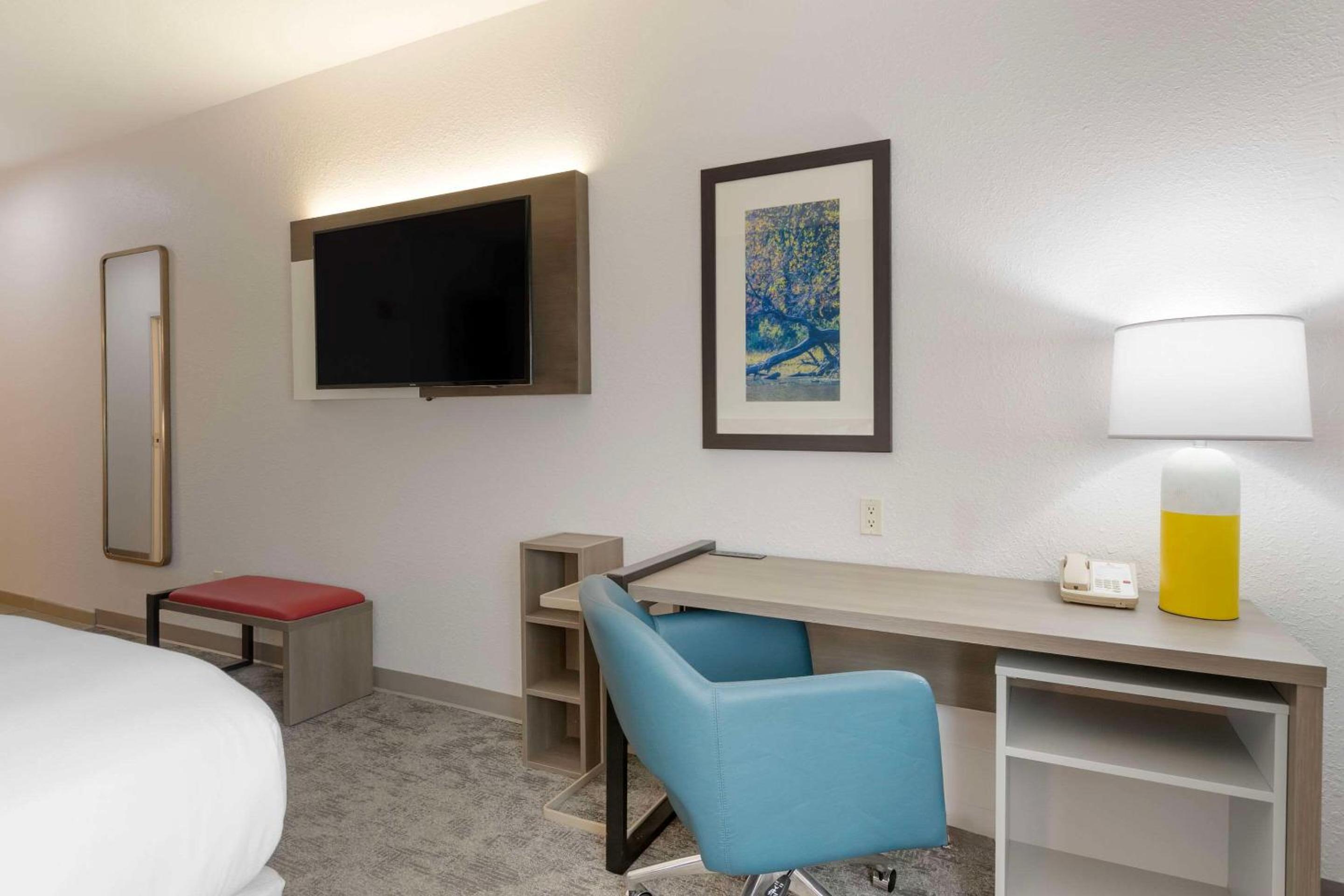 King Room with Roll-In Shower - Accessible/Non-Smoking - Photo 4