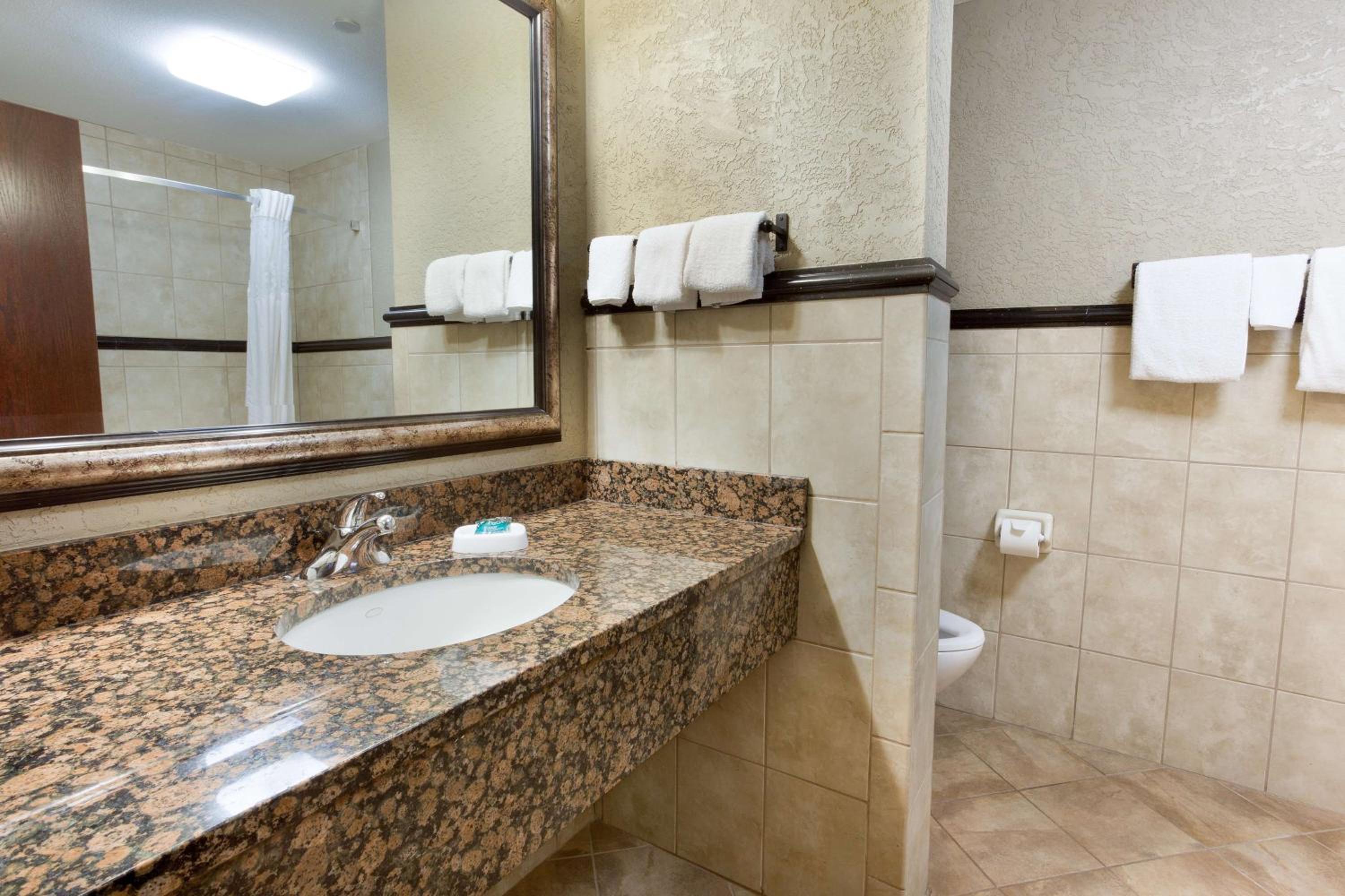 King Suite - Photo 4