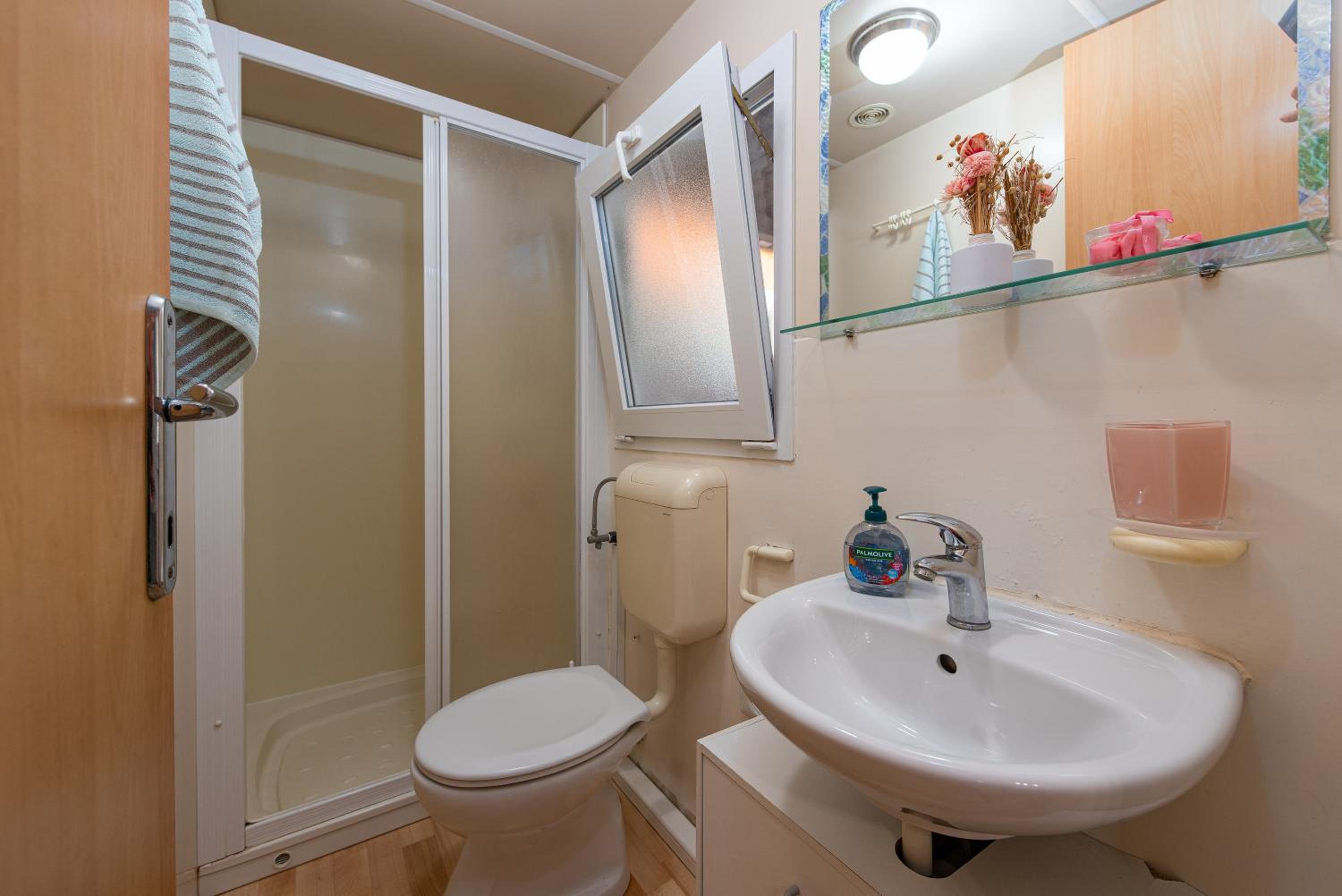 Mobile Home photo 2