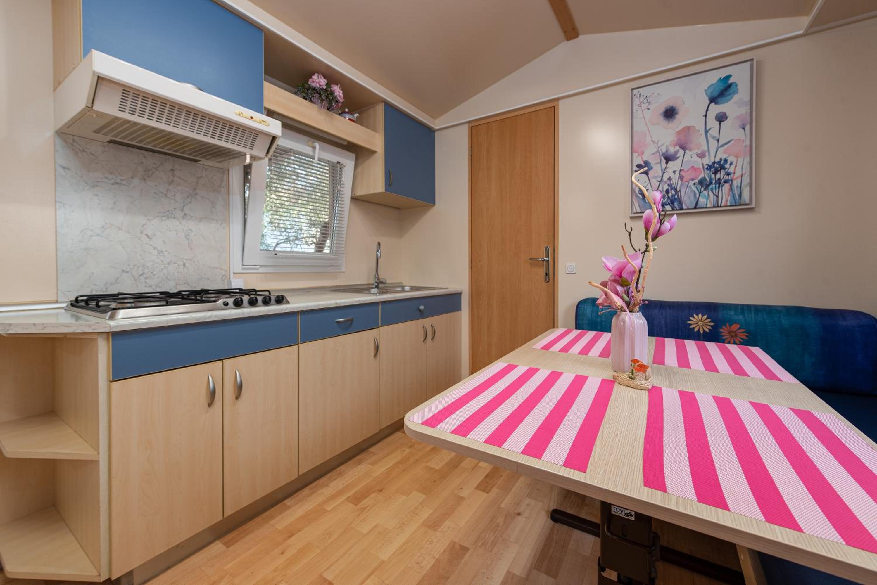 Mobile Home photo 3