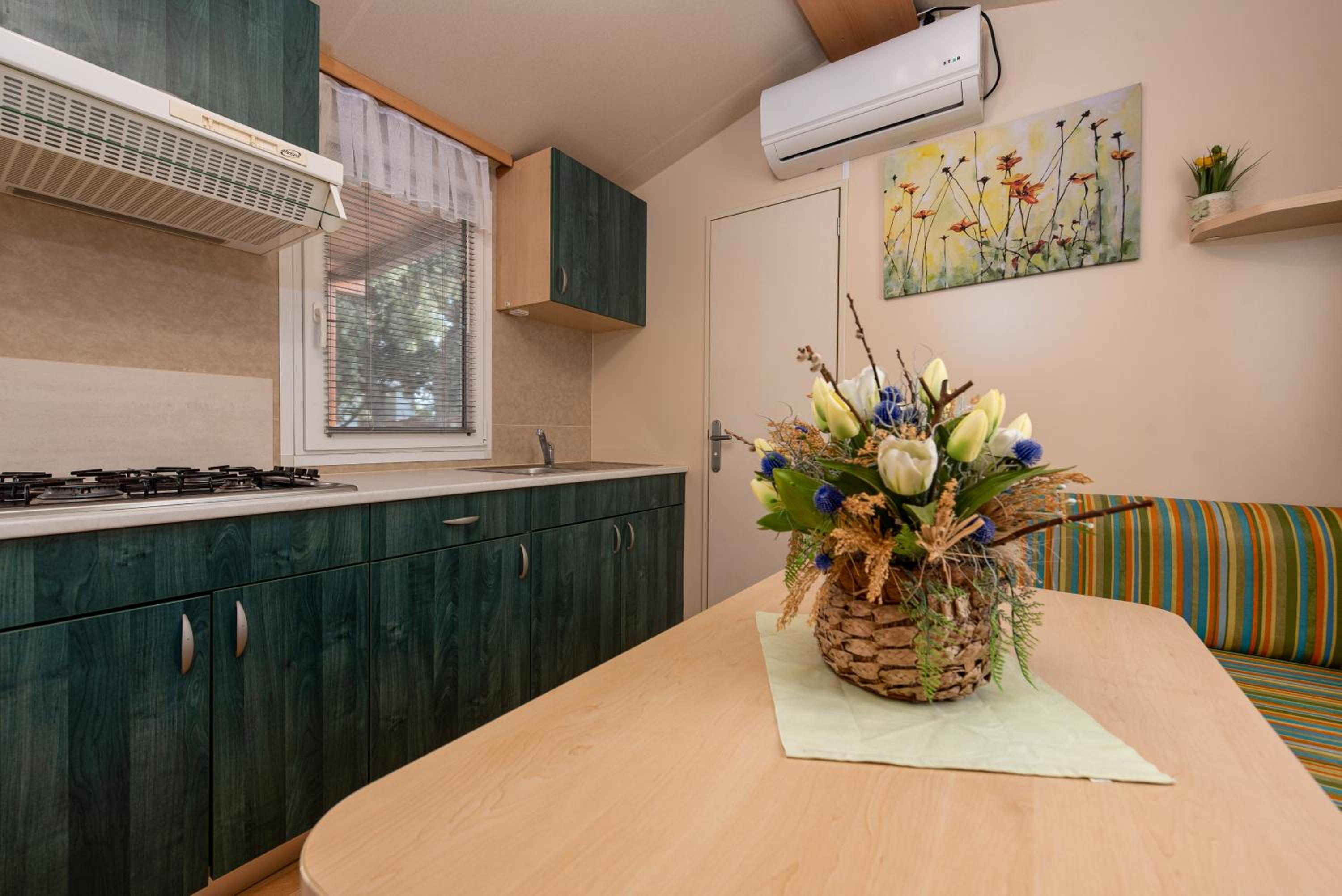 Mobile Home photo 2