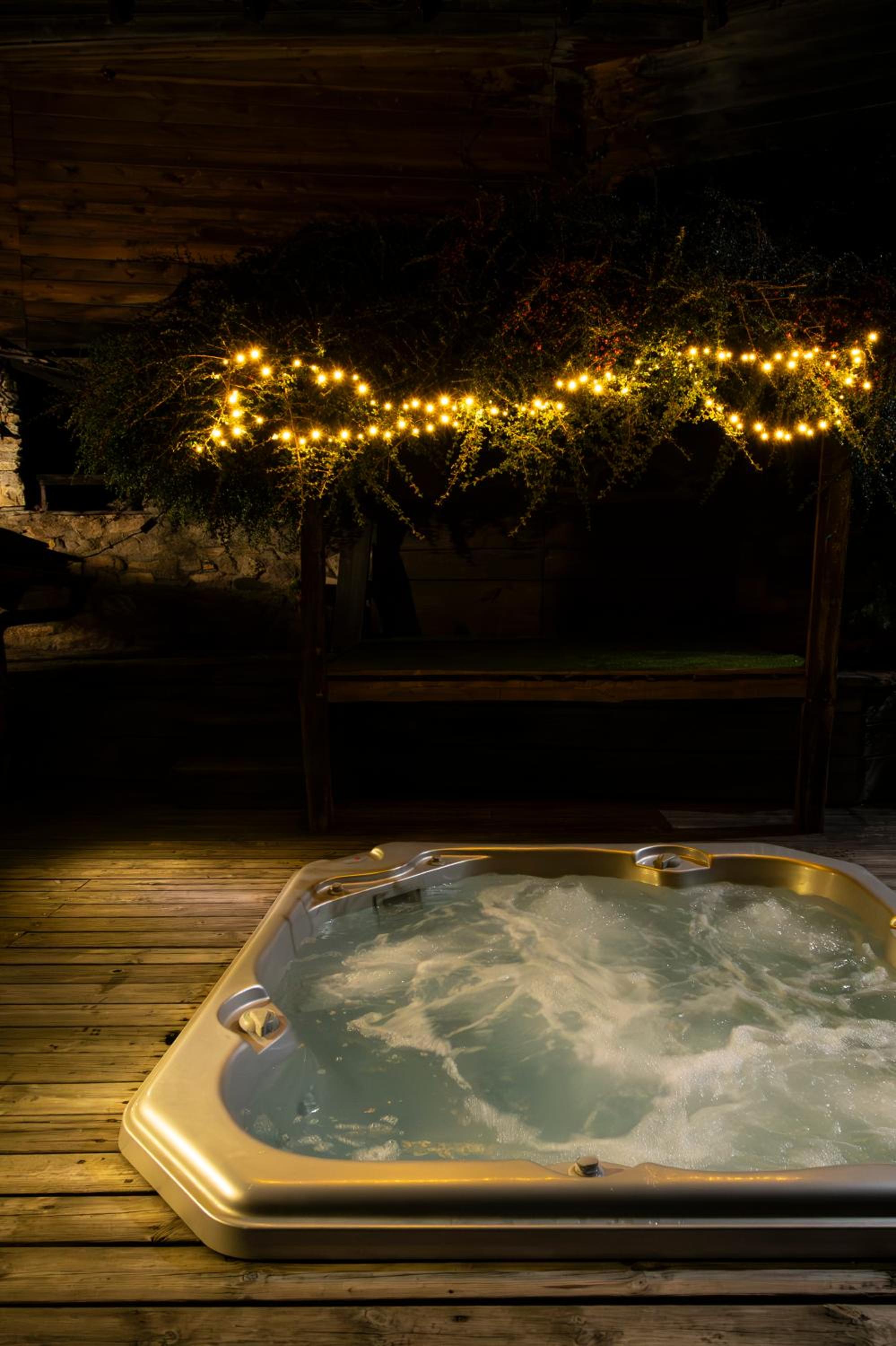 Superior Chalet photo 3