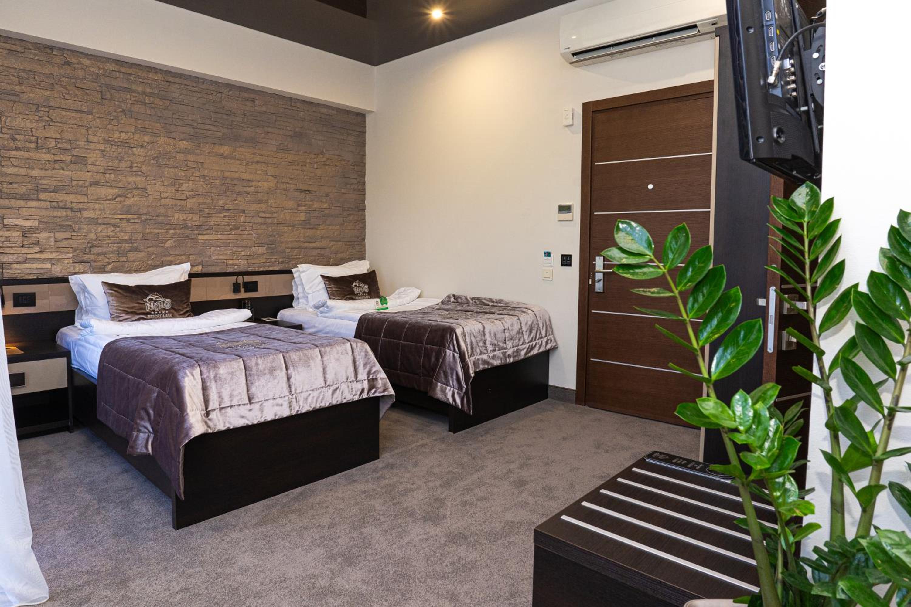 Standard Double or Twin Room, Park View