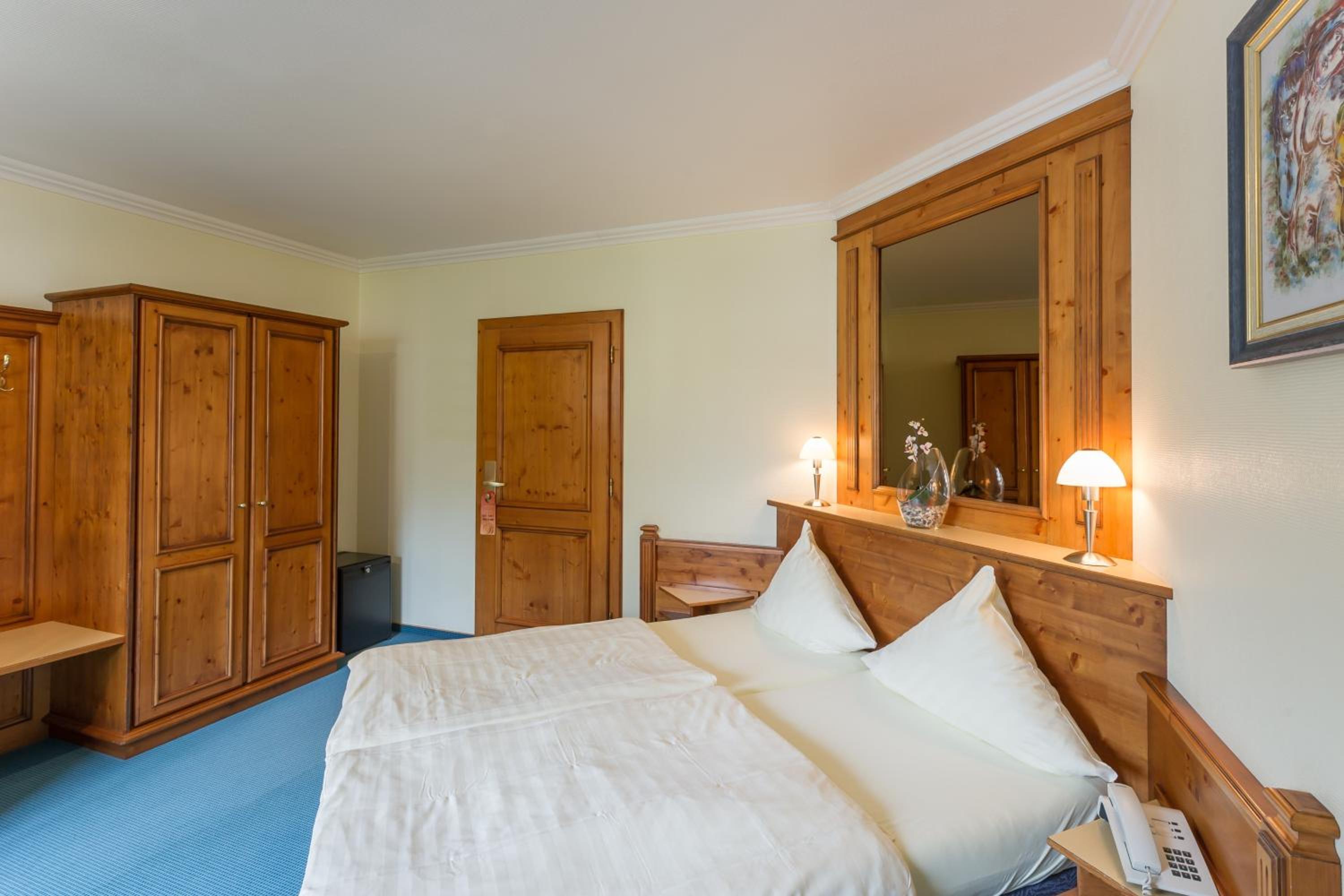 Deluxe Double or Twin Room photo 3