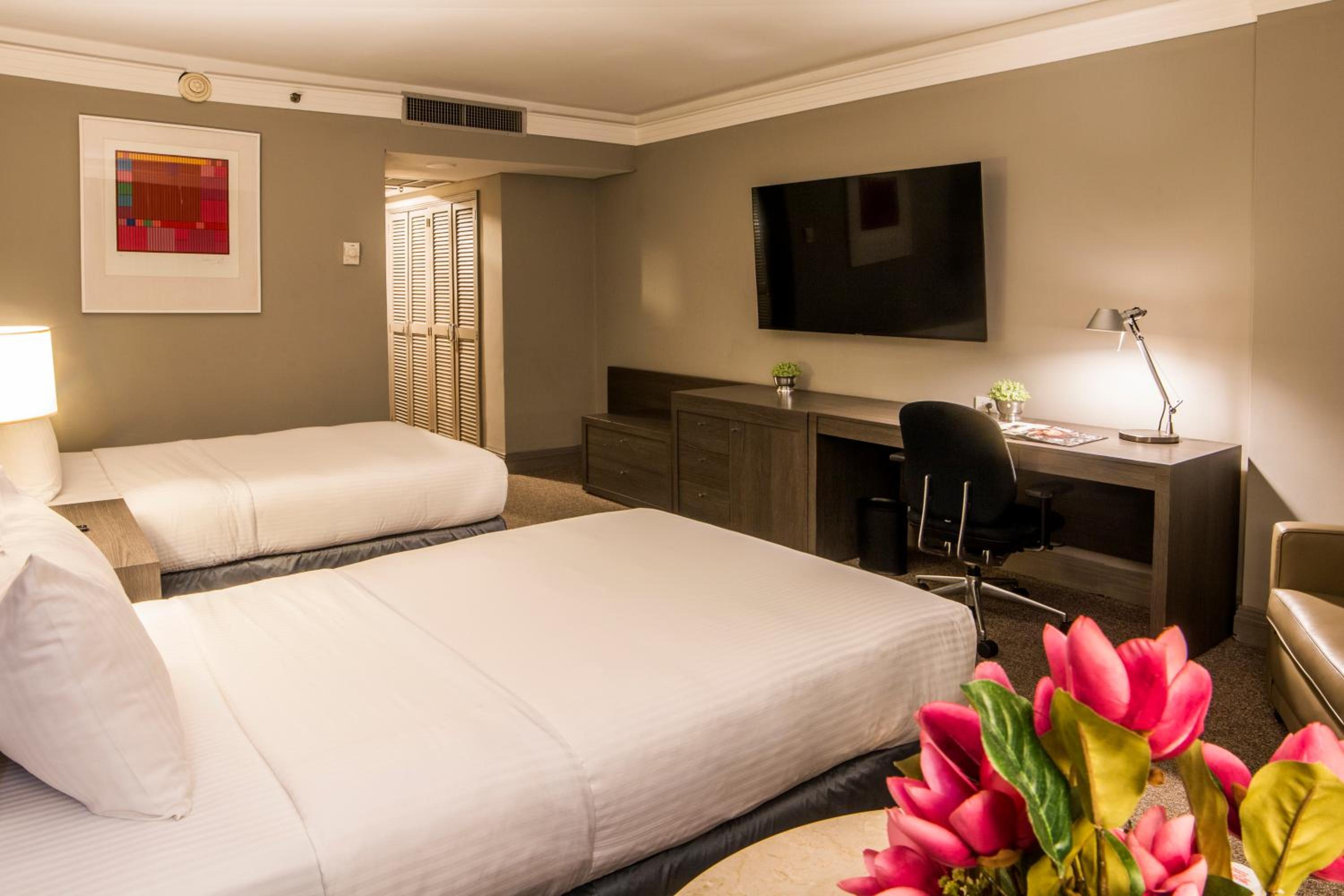 Deluxe Twin Room photo 2