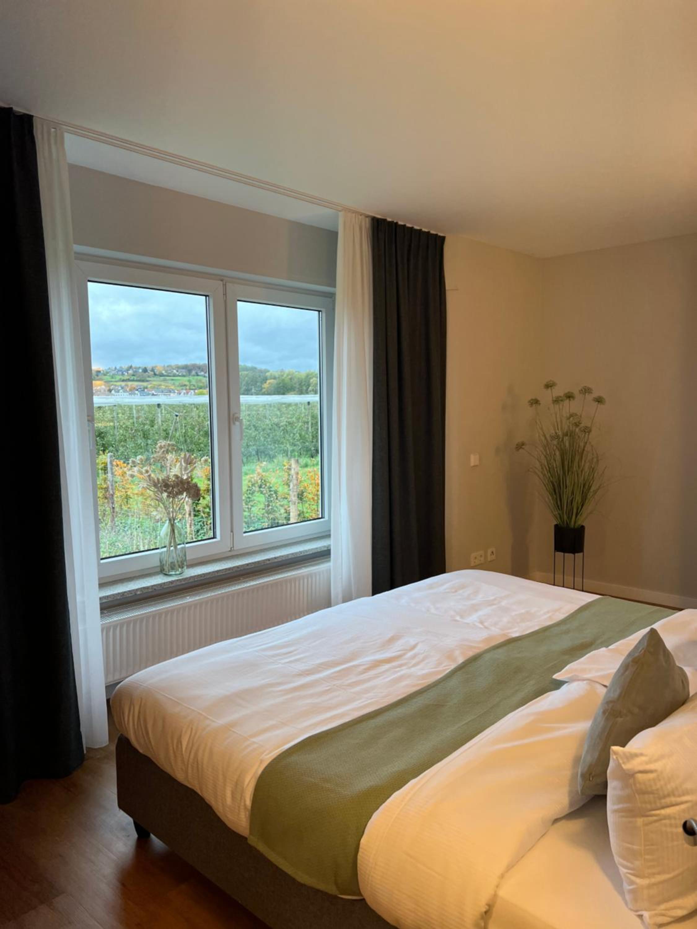 Suite with Terrace photo 2