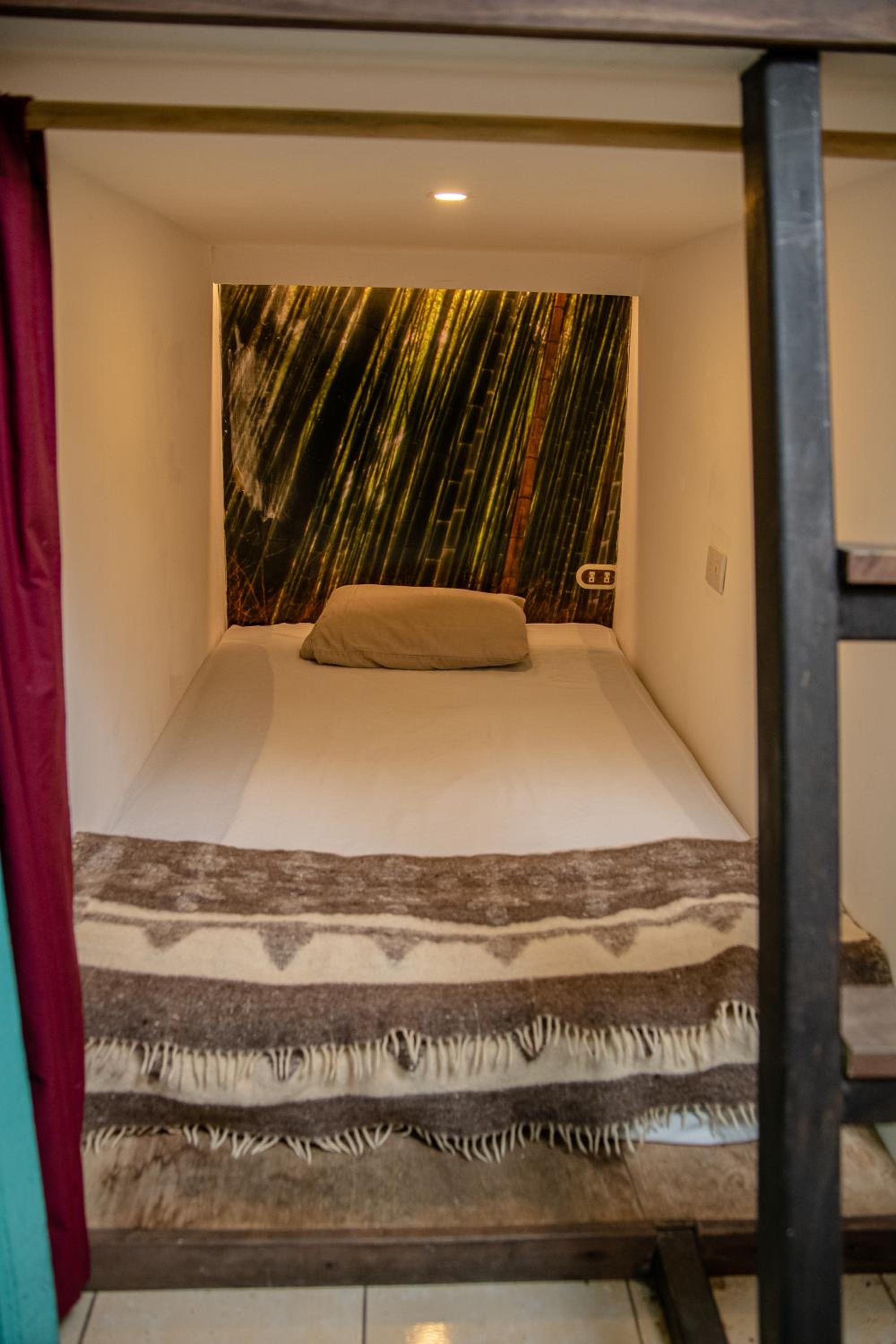 Bunk Bed in Mixed Dormitory Room photo 2