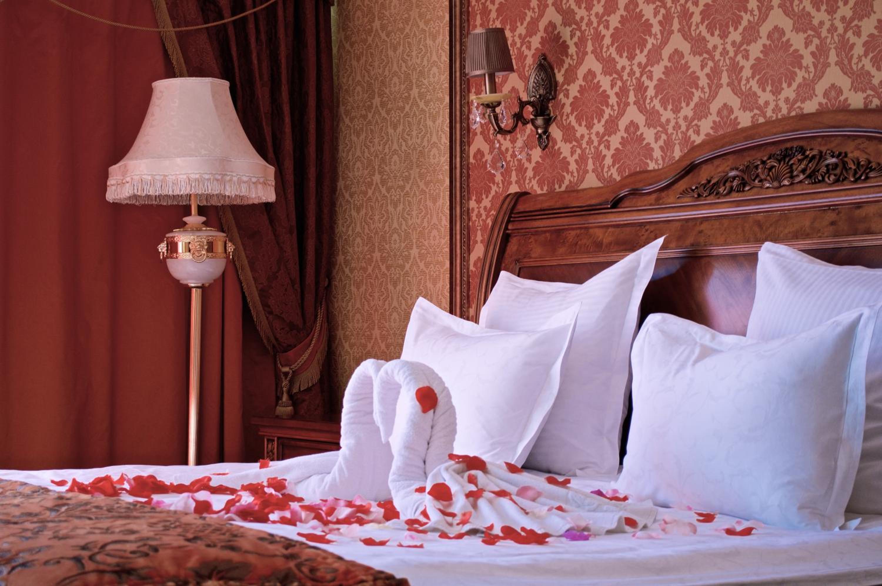 Senior Suite - Photo 2