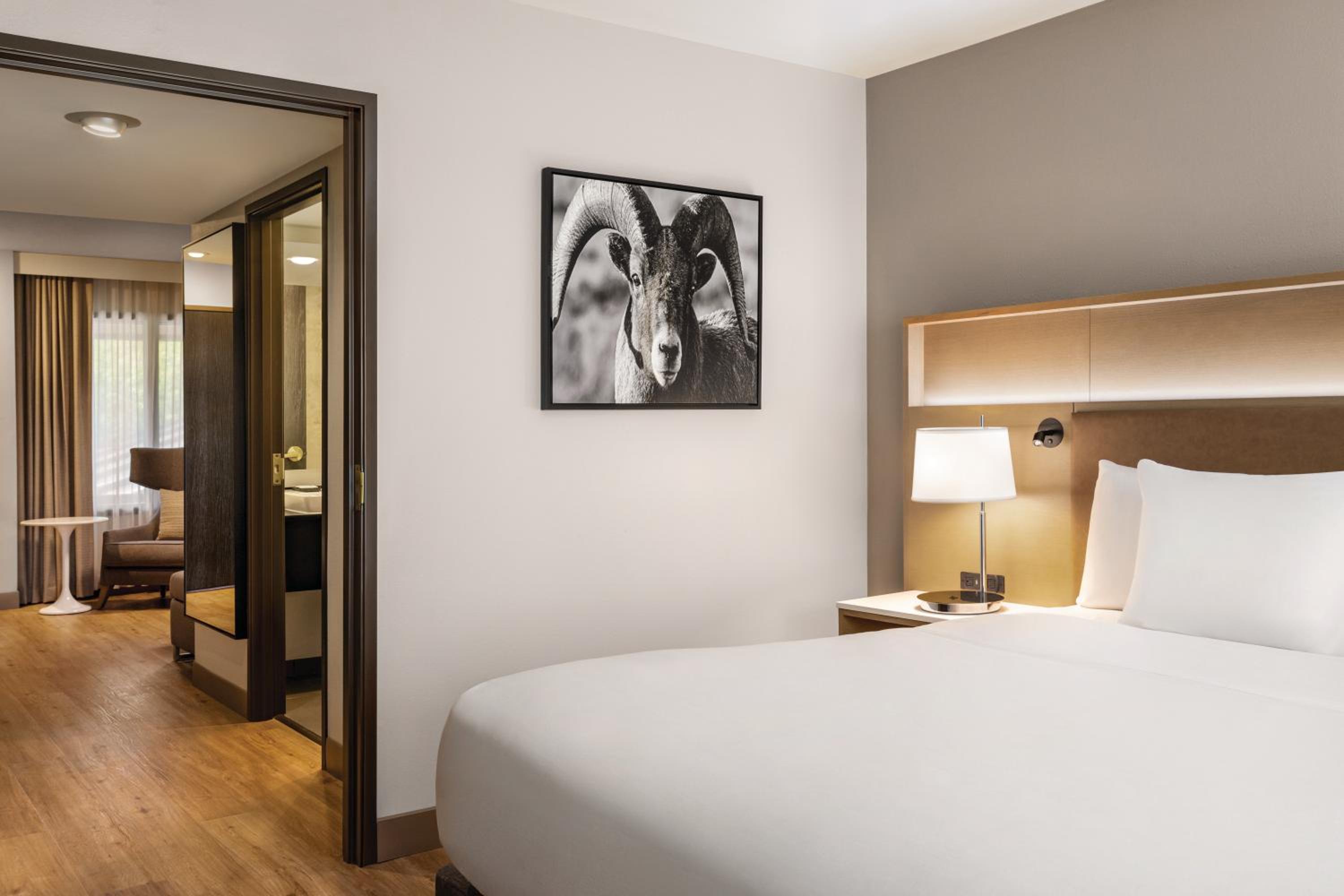 One-Bedroom King Suite with Sofa Bed - Non-Smoking - Photo 2