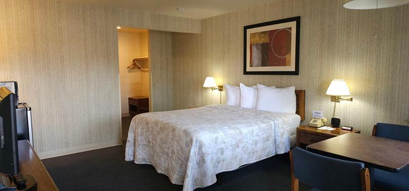 Double Room - Disability Access photo 2