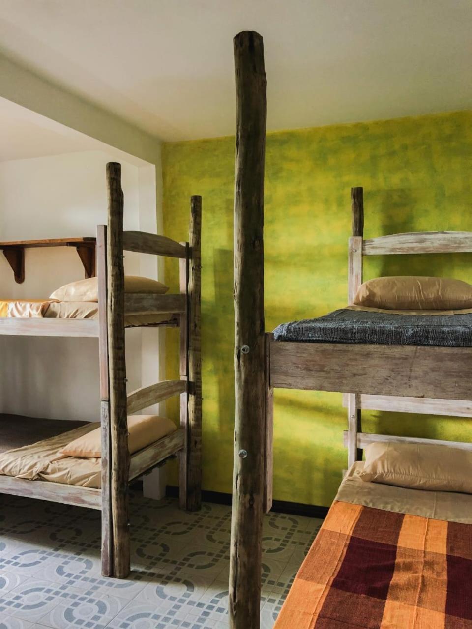 Bunk Bed in Mixed Dormitory Room