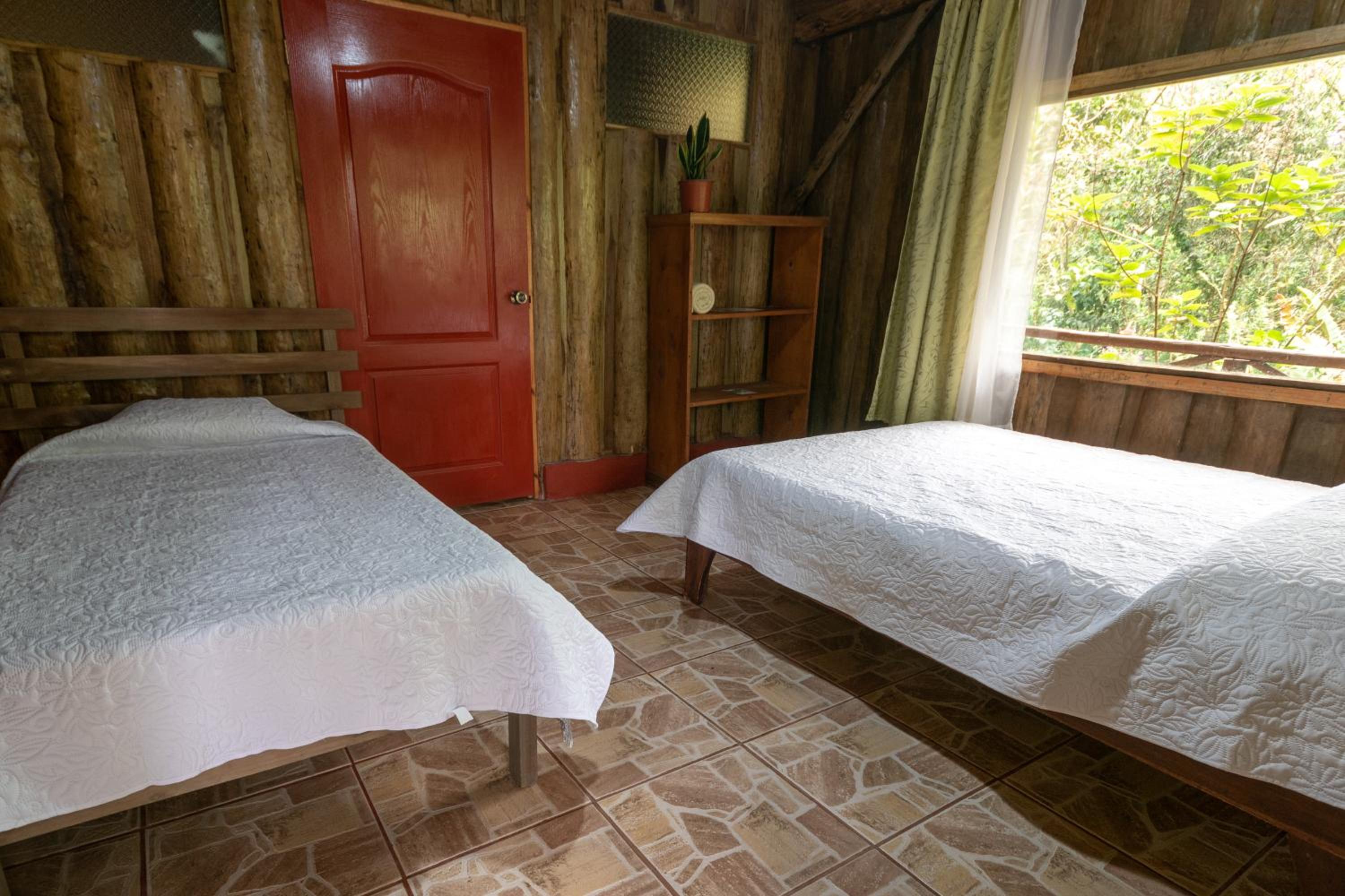 Twin Room photo 1