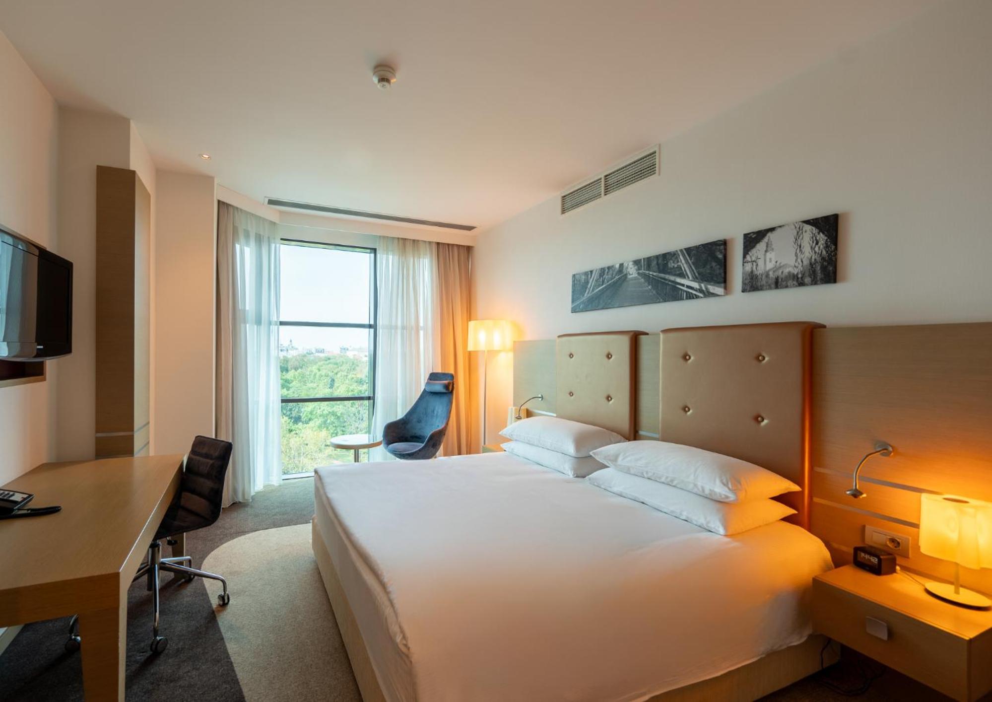 One-Bedroom King Suite - Photo 3