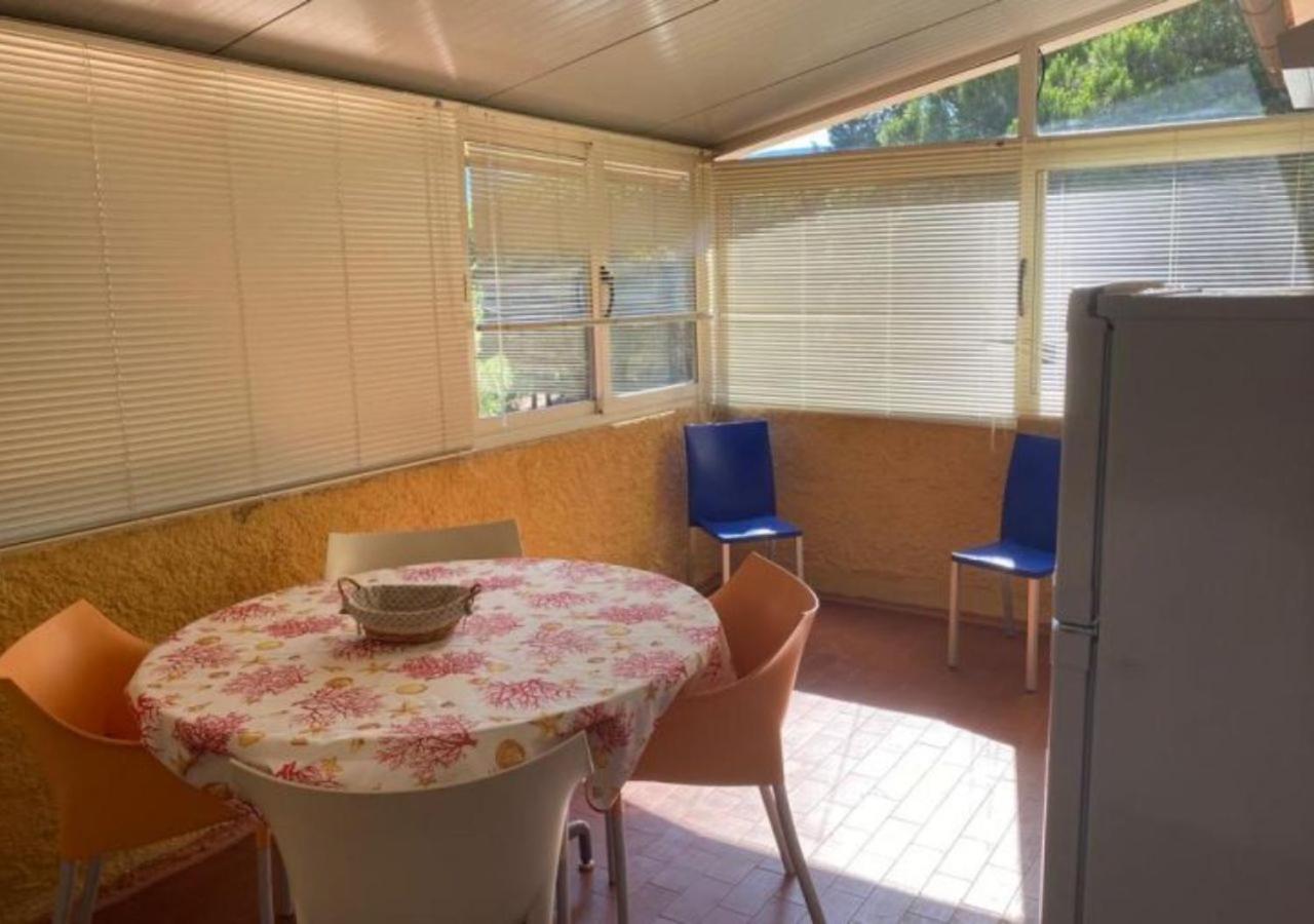 Apartment with Terrace photo 3