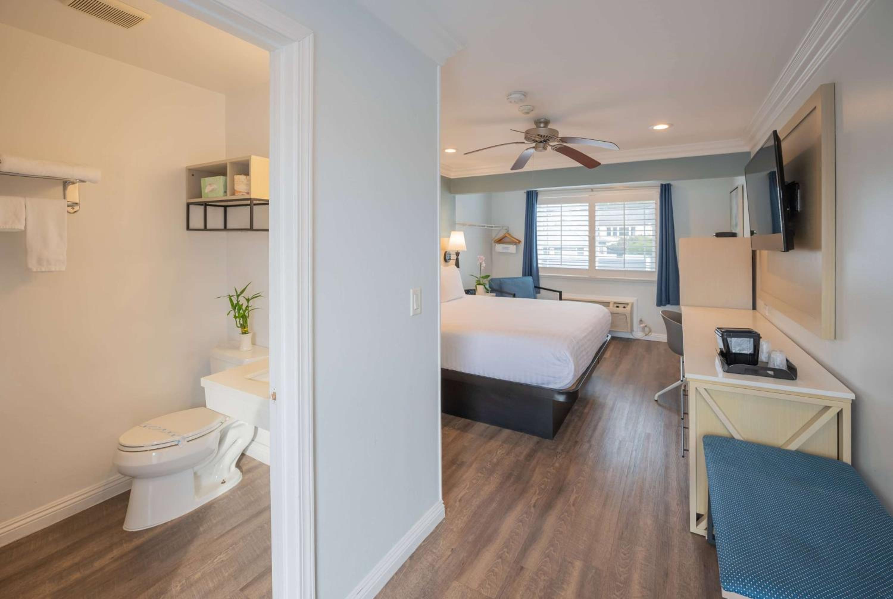 1 King Bed, Sofa Bed, Standard Room, Non-Smoking photo 1