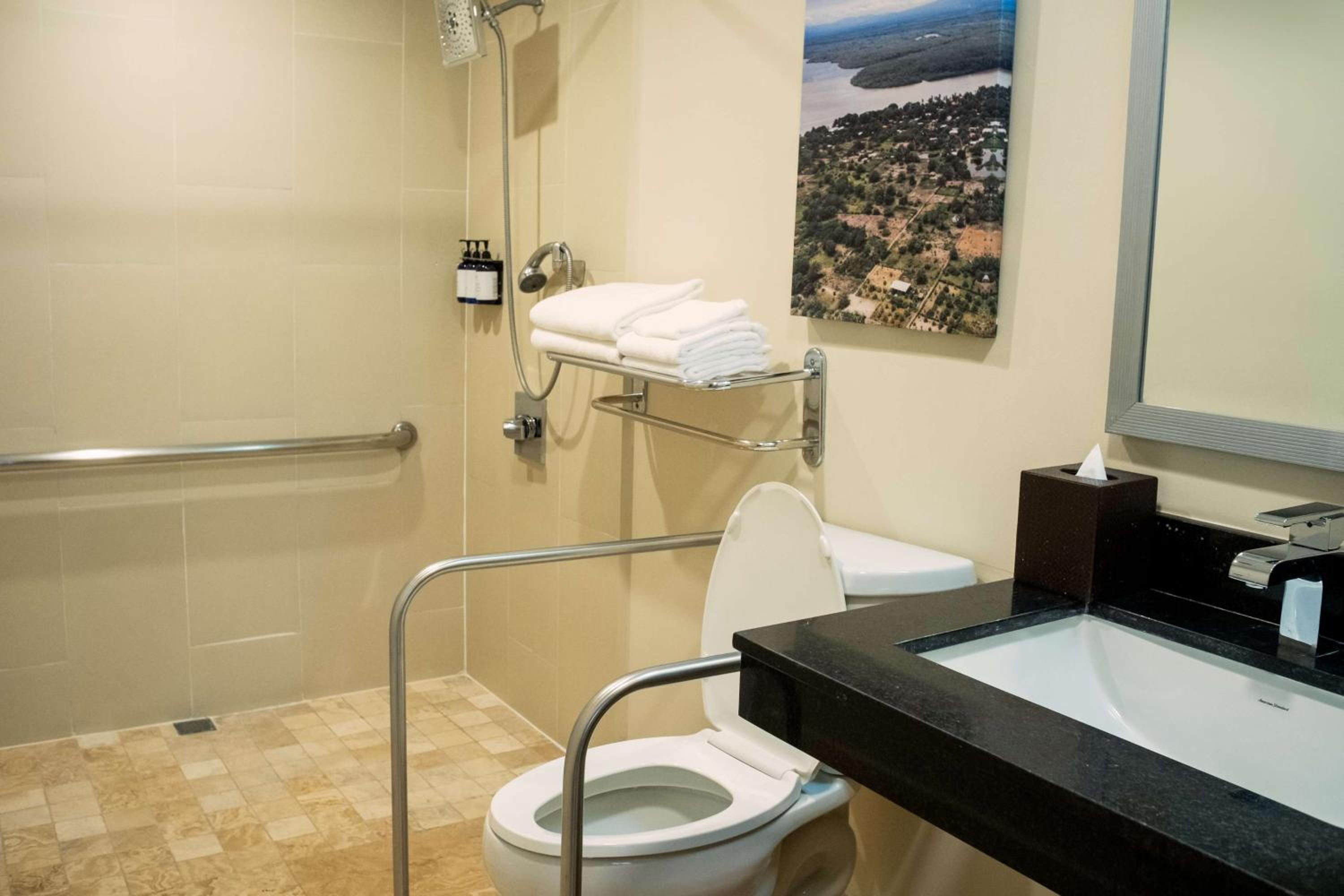 King Room with Roll-In Shower - Mobility Access - Photo 3