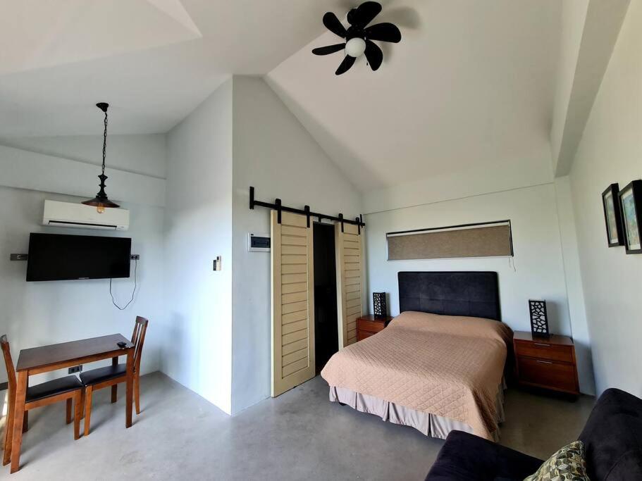Three-Bedroom Villa photo 3