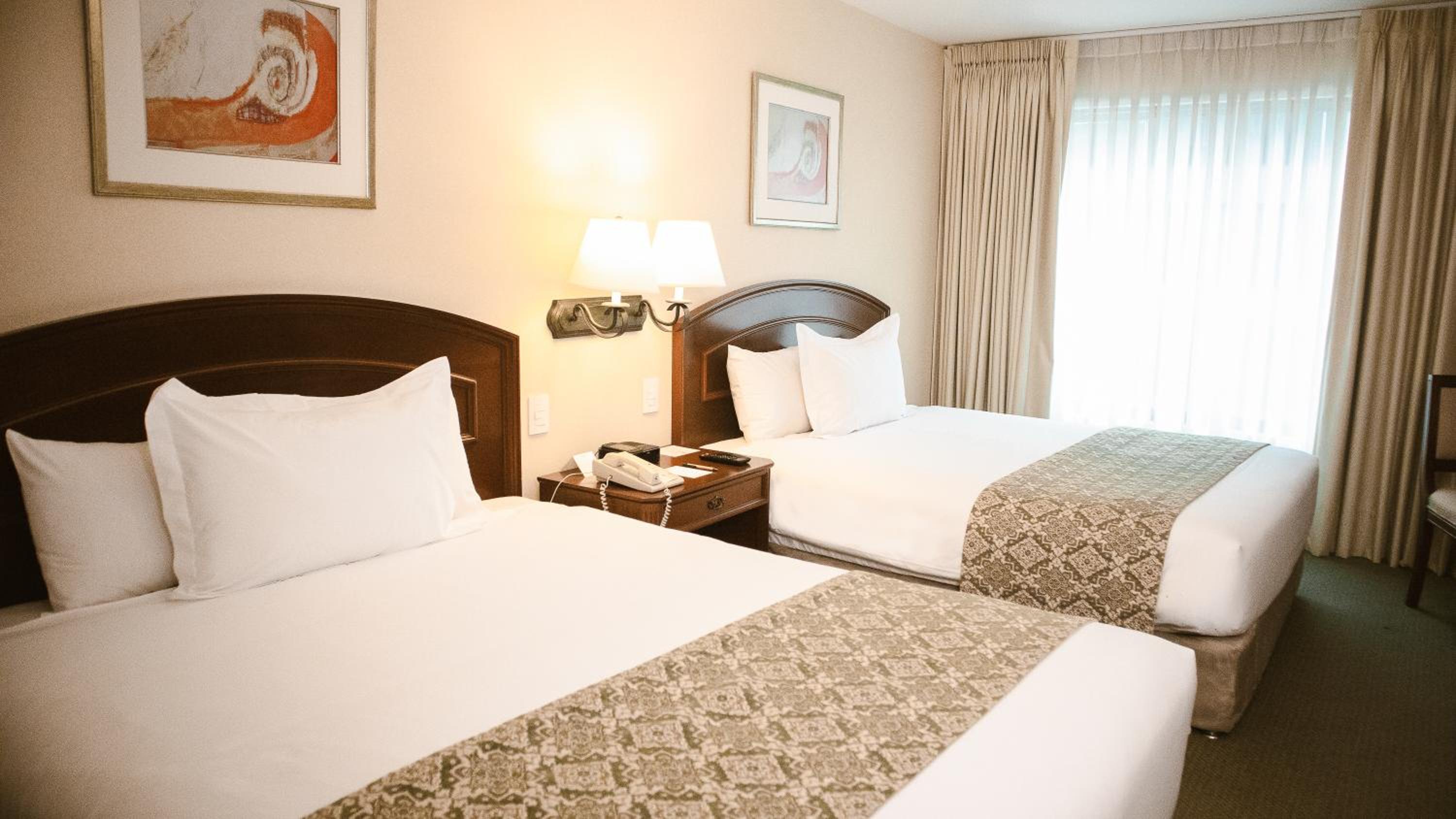 Premium Twin Room photo 1